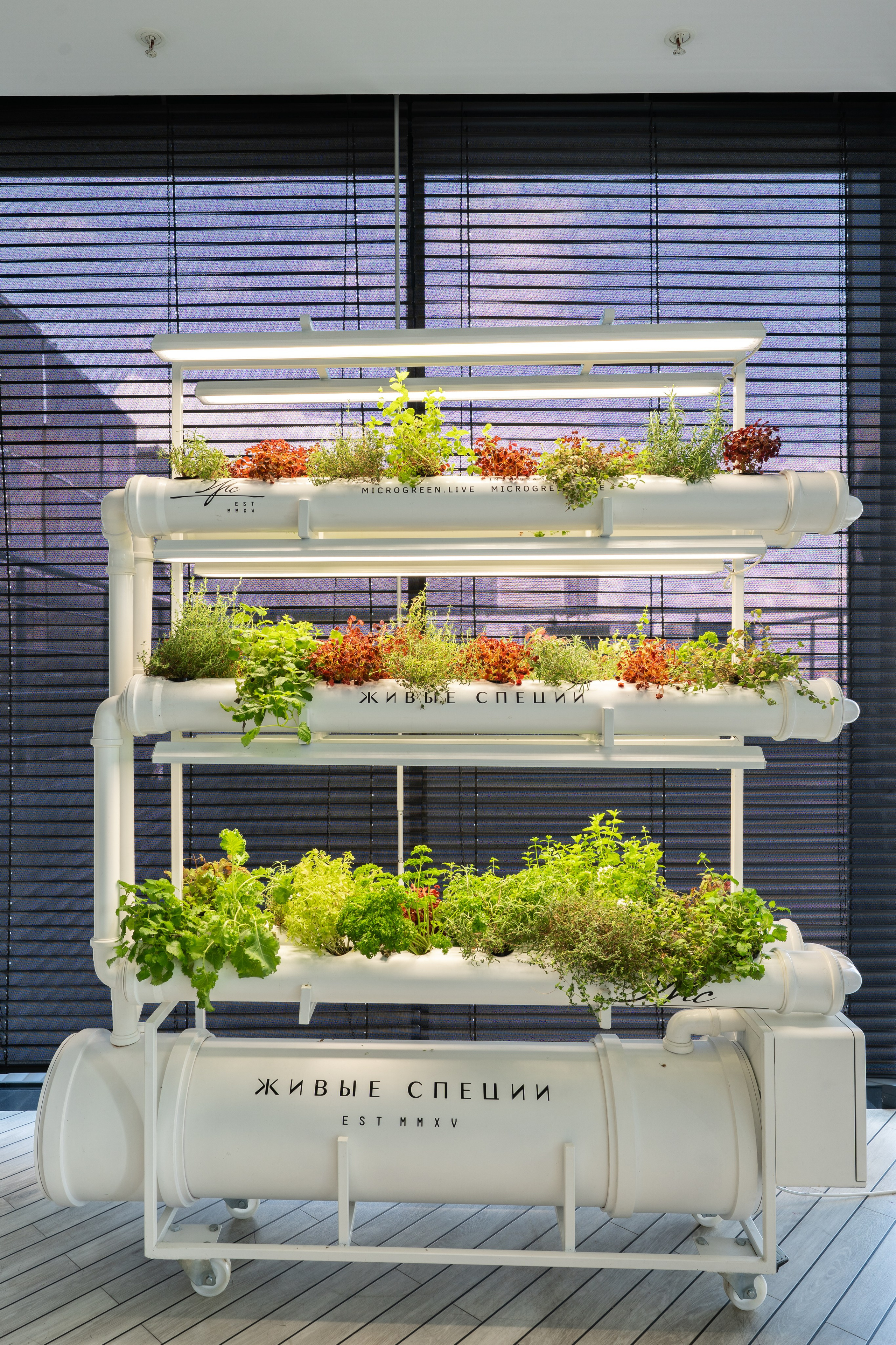 Авито. Центральный офис на Лесной. Интерьерный фотограф Александра Солдатова