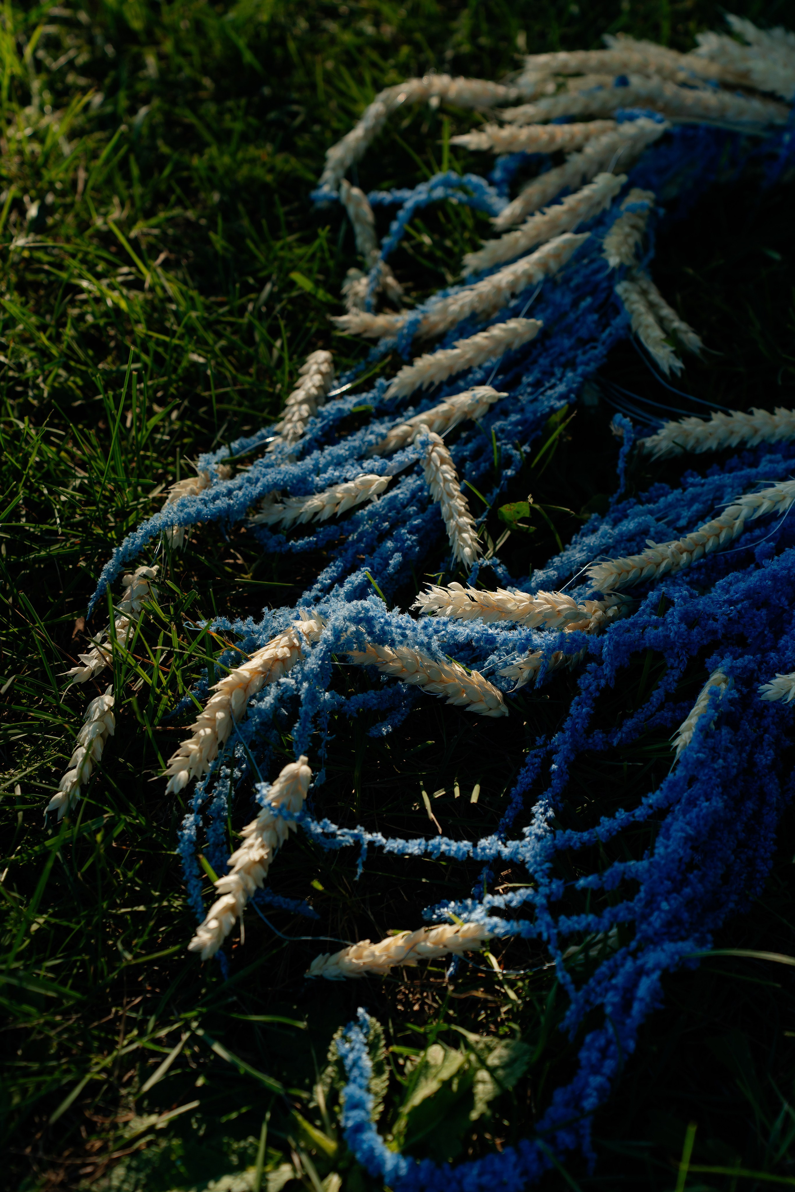 Никита и Лика. Фотограф Сергей Филиппов