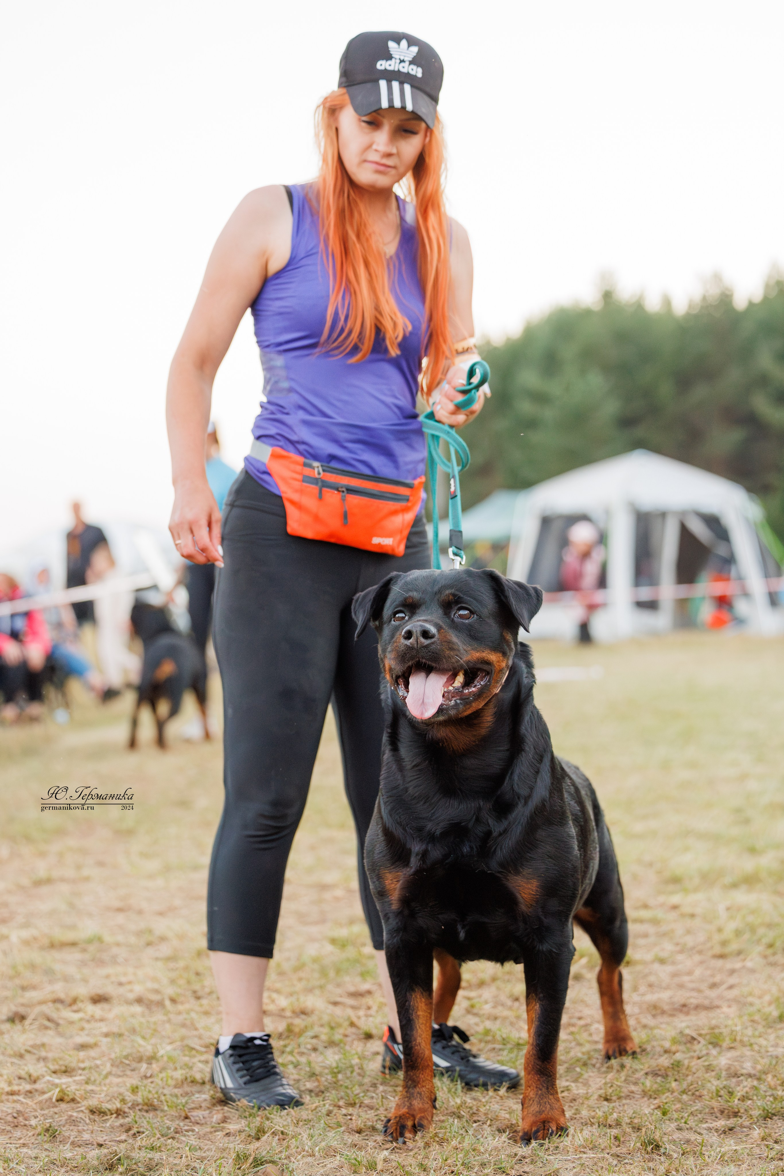 ПК и КЧК ротвейлеры Тверь 6-7.07.2024. Фотограф-анималист Юлия Германика