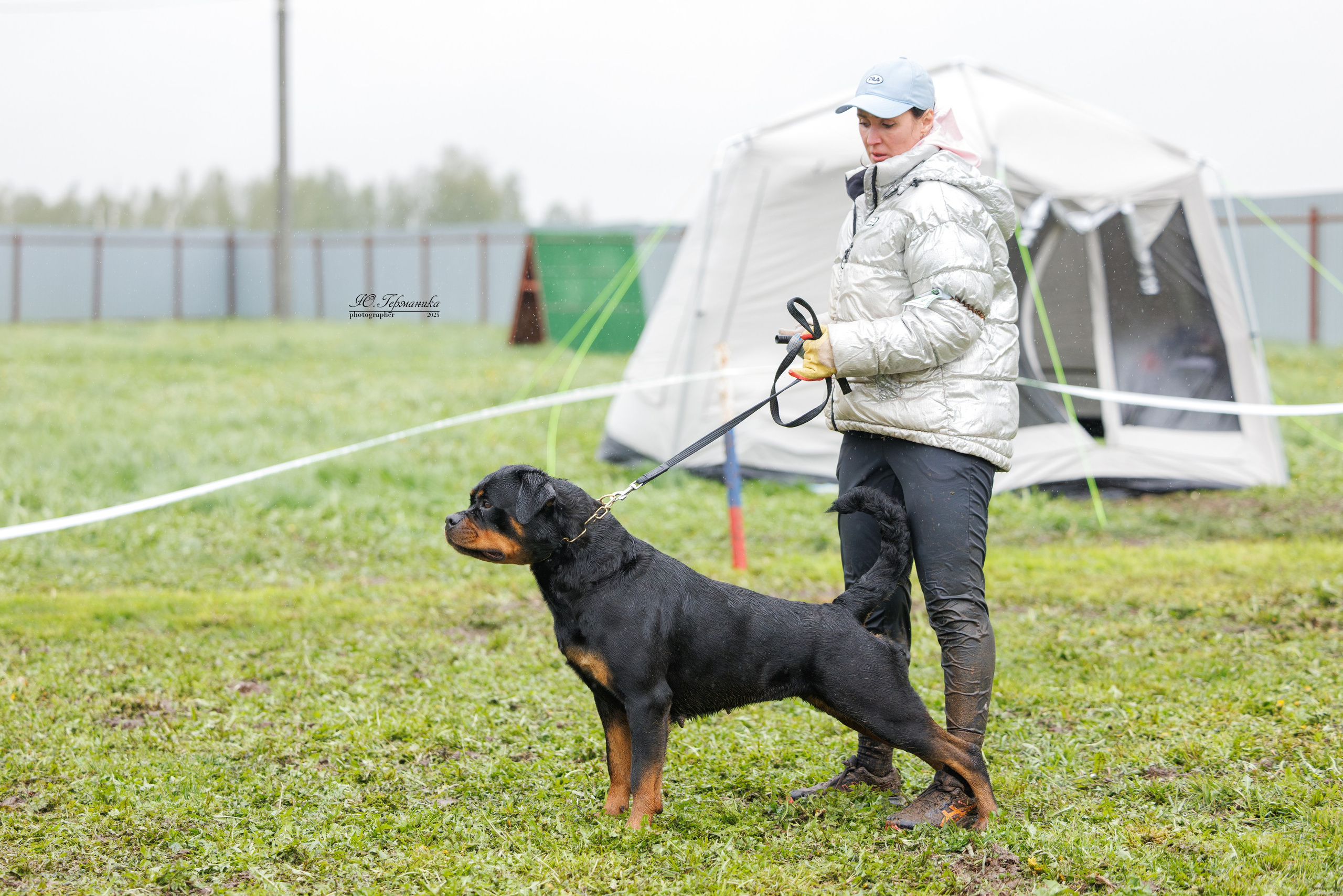 Нижний Новгород 2хмоно ротвейлеров 10-11.05.2025. Фотограф-анималист Юлия Германика