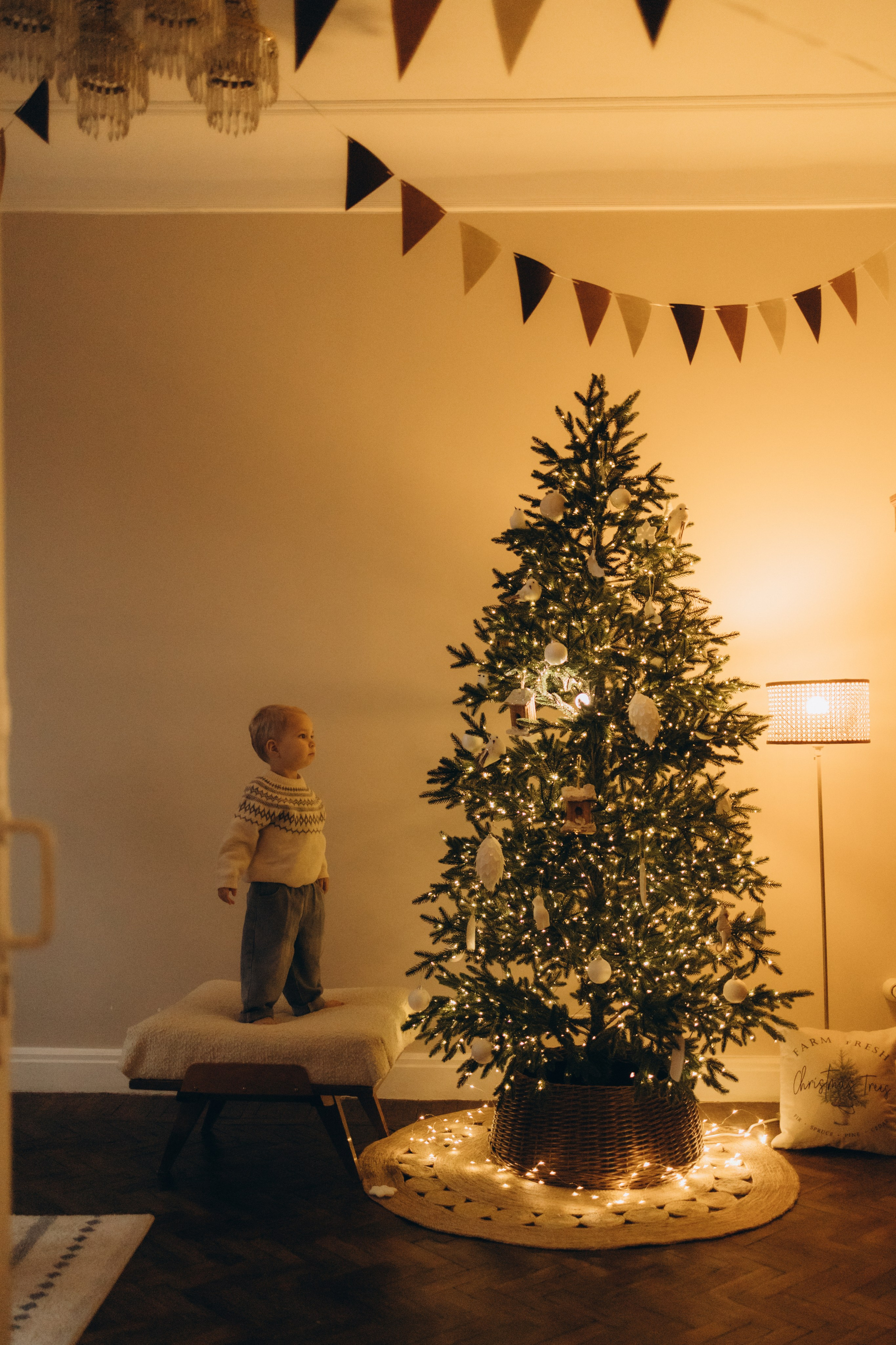 Новогодние. Семейный фотограф и видеограф Наумова Анна