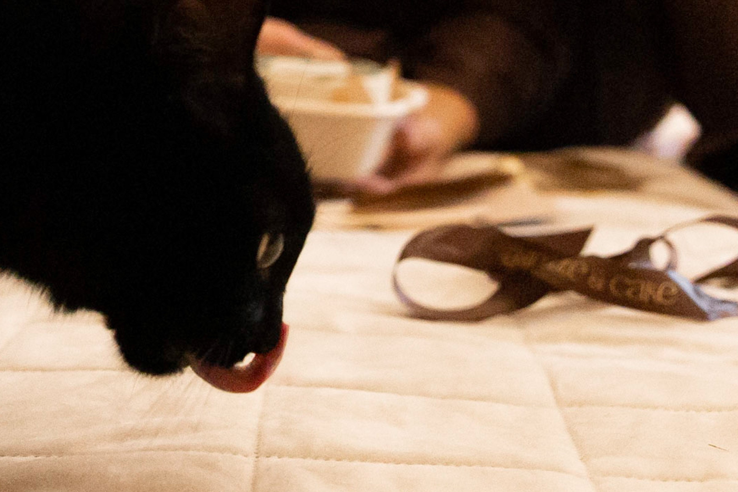 Распаковывать подарки. Свадебный фотограф Марьям Сайфулина г. Красноярск