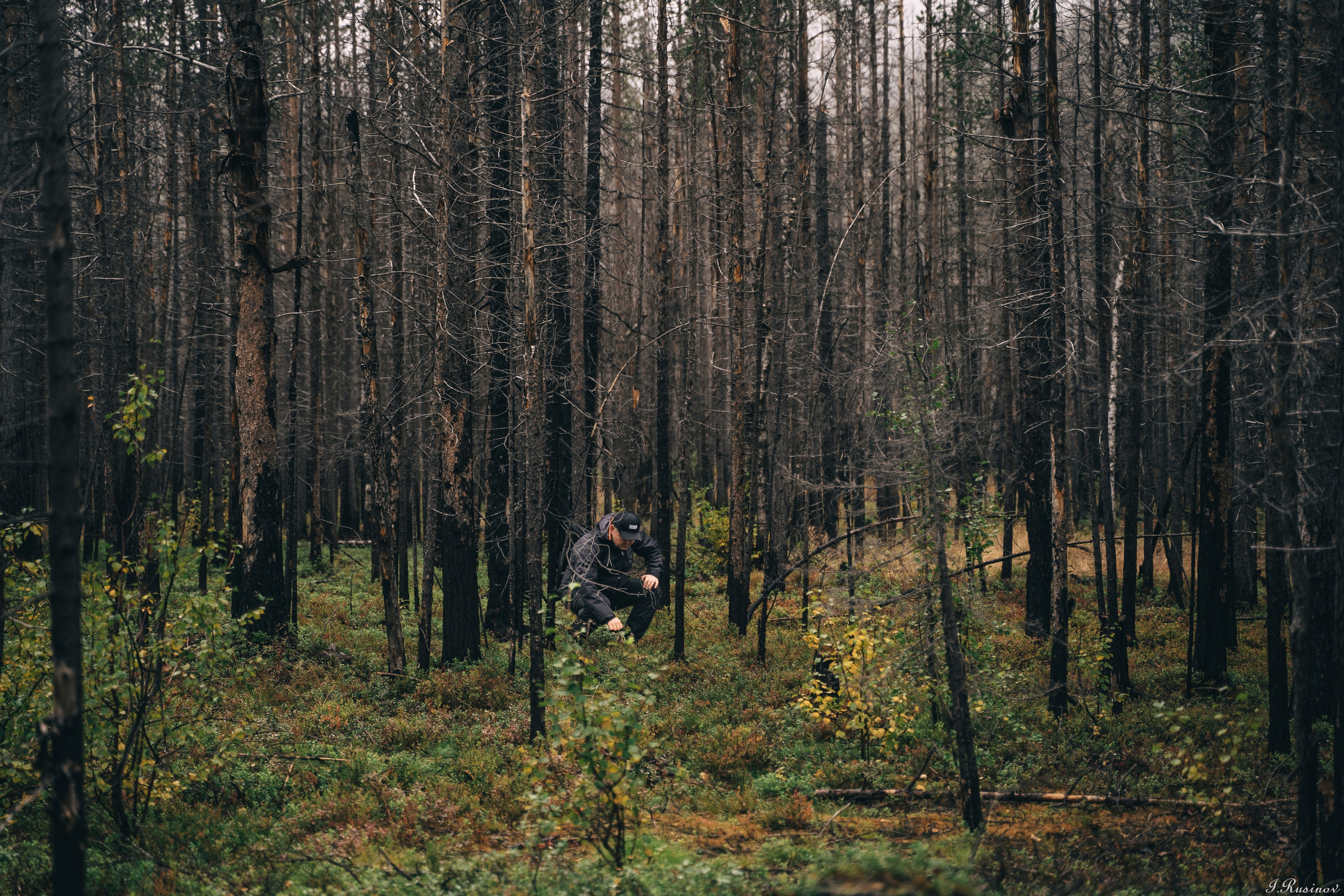 ХИБИНЫ 2021 г. Event фотограф Степанова Александра