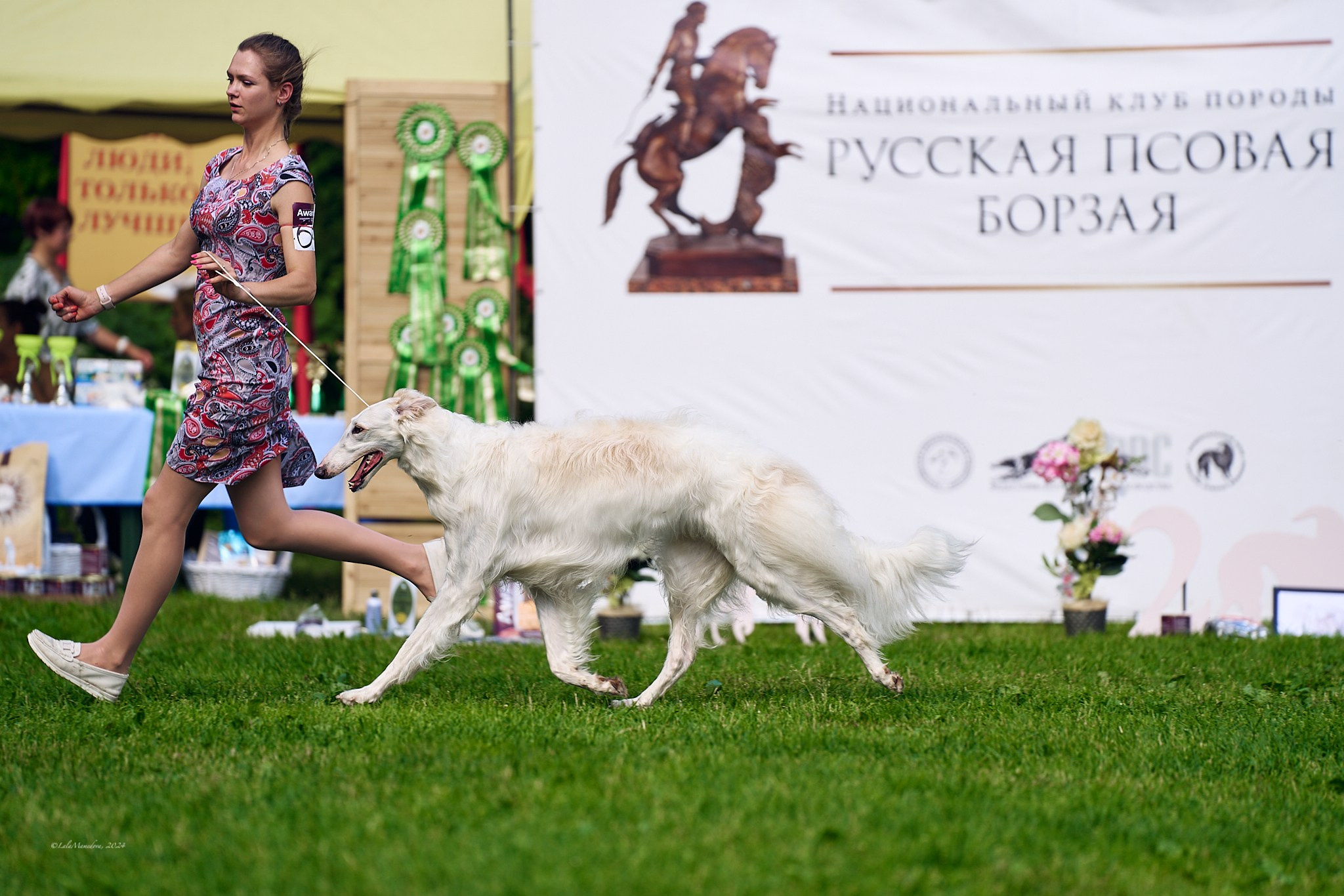 15.06.2024 | XXVIII НАЦИОНАЛЬНАЯ ВЫСТАВКА | РУССКАЯ ПСОВАЯ БОРЗАЯ