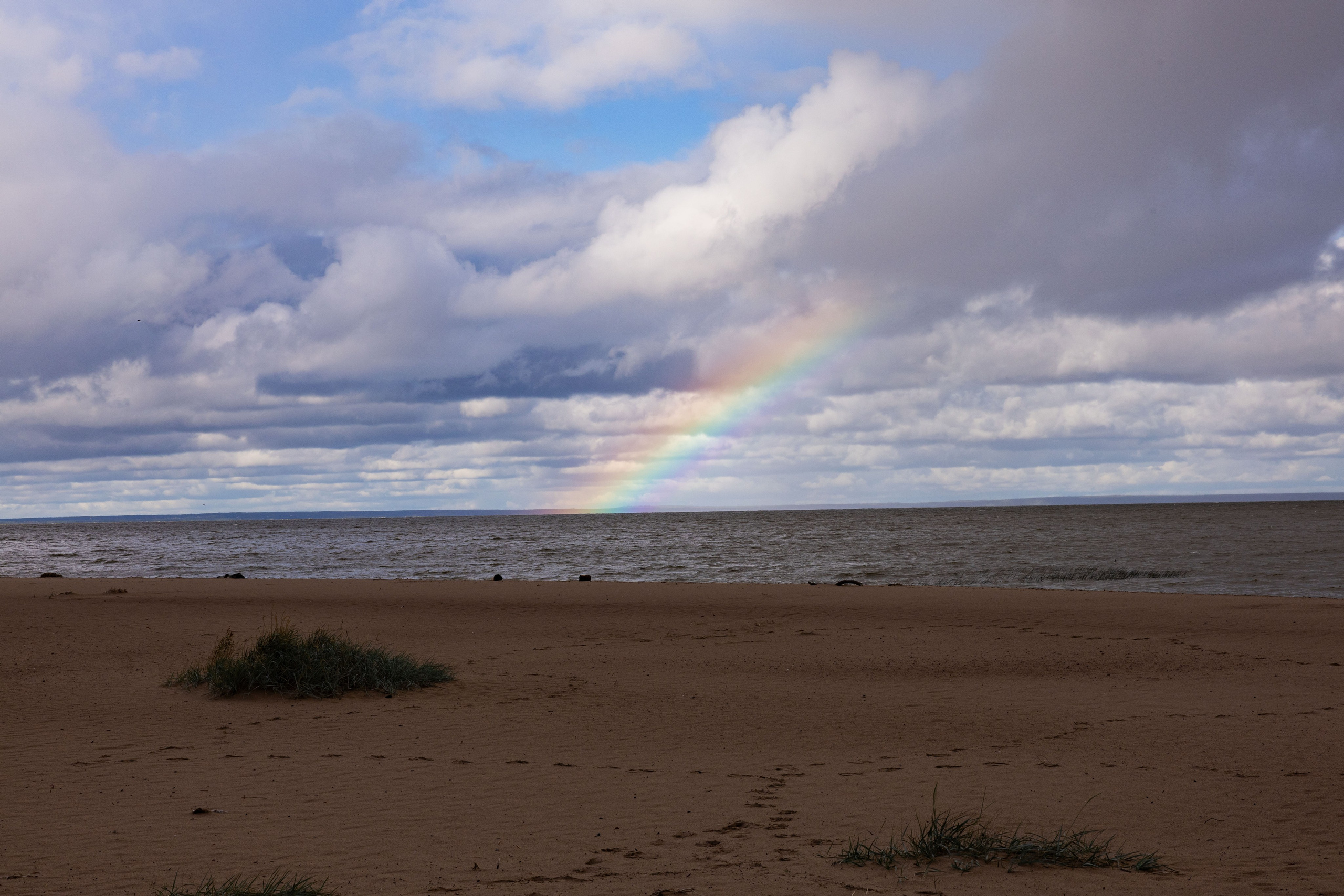 Зеленый пластик. Западный Котлин. Фотограф/видеограф в Санкт-Петербурге Динара Гольдина