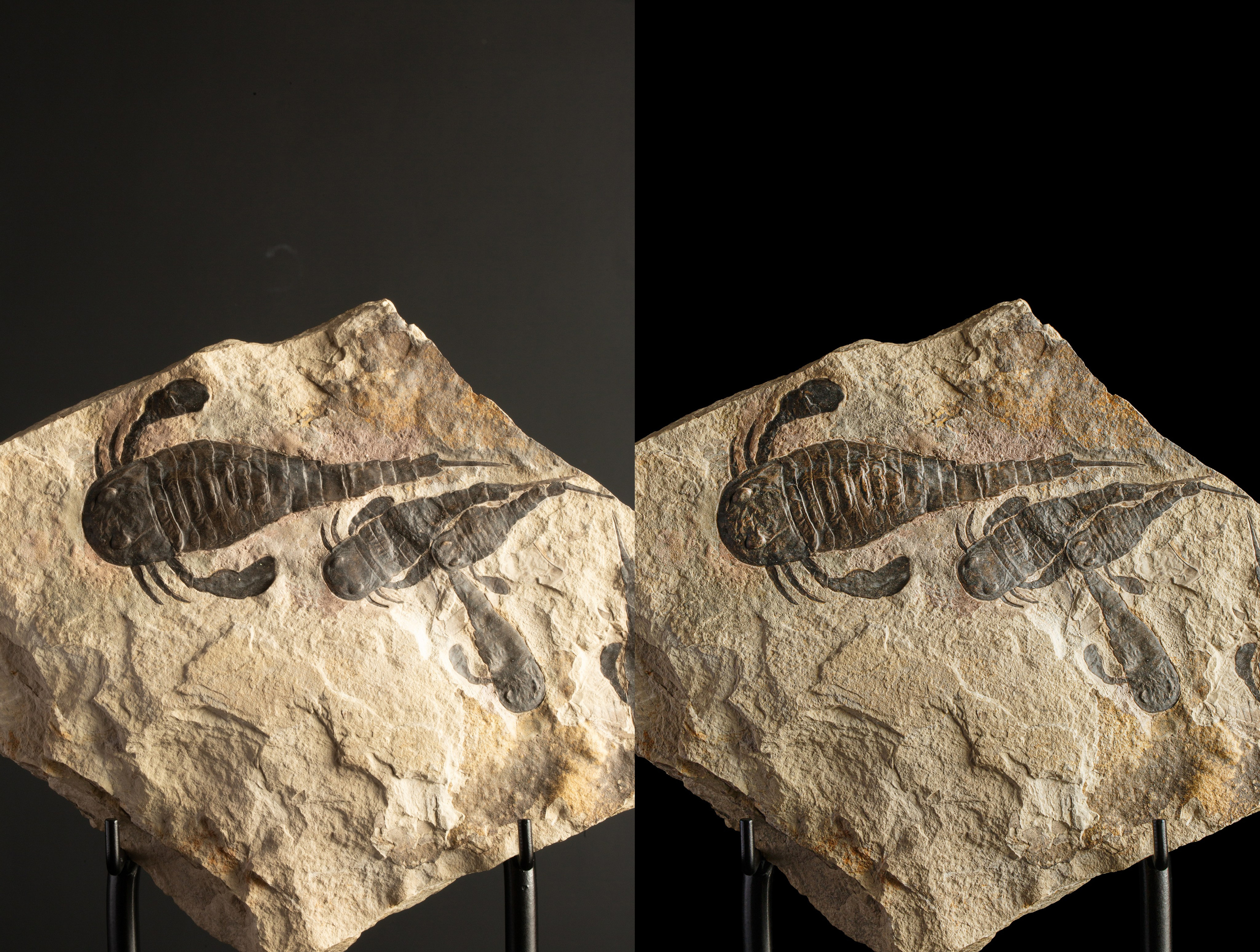 Предметы коллекционирования