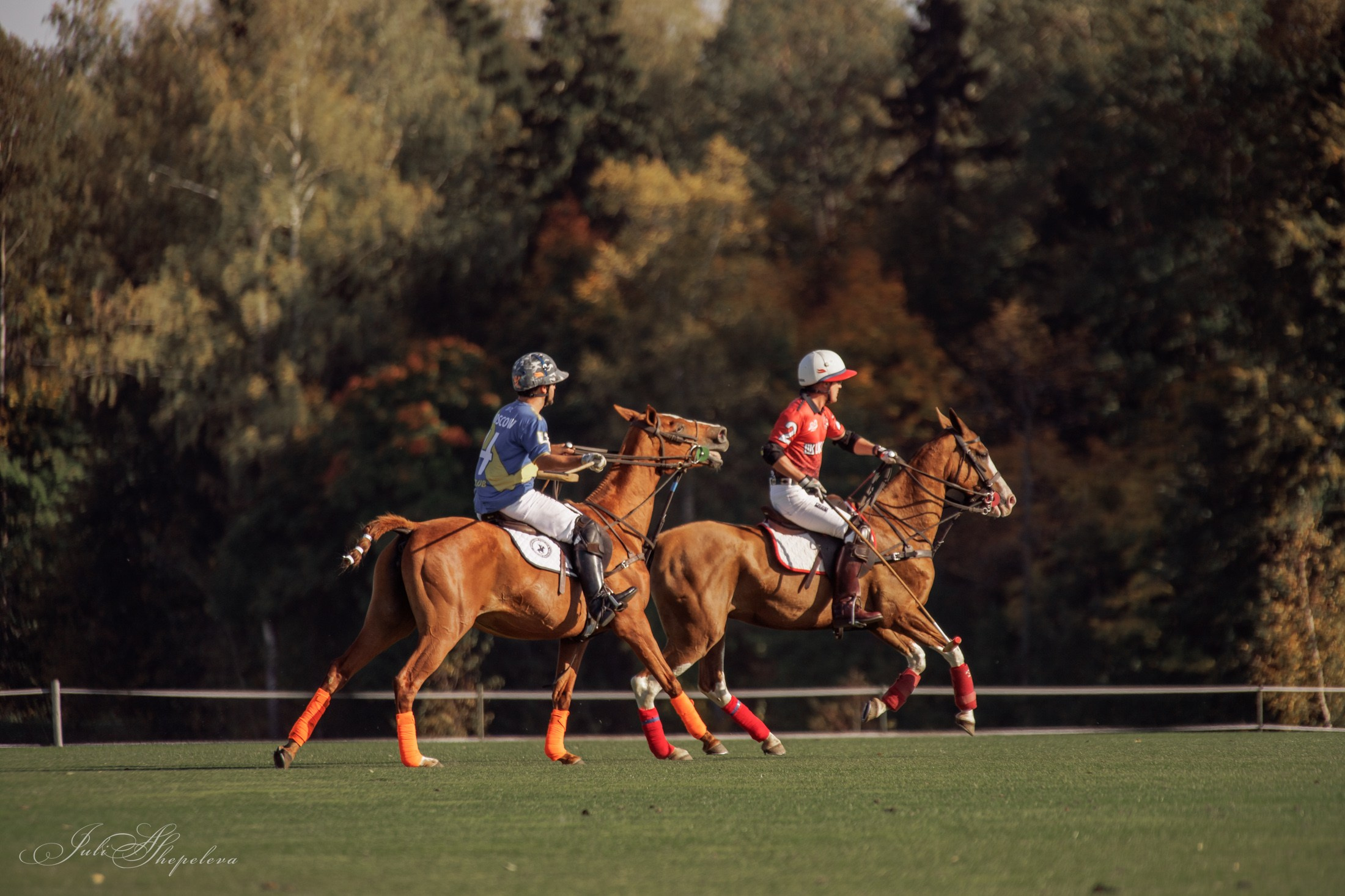 Осенний кубок по конному поло. Детская Конная фотография в Москве Юлия Шепелева