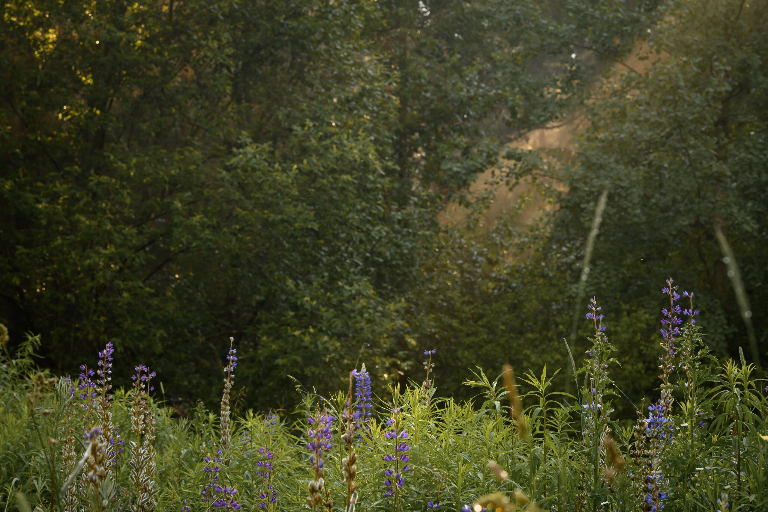 Места. Фотограф в Минске Дарья Кончакова