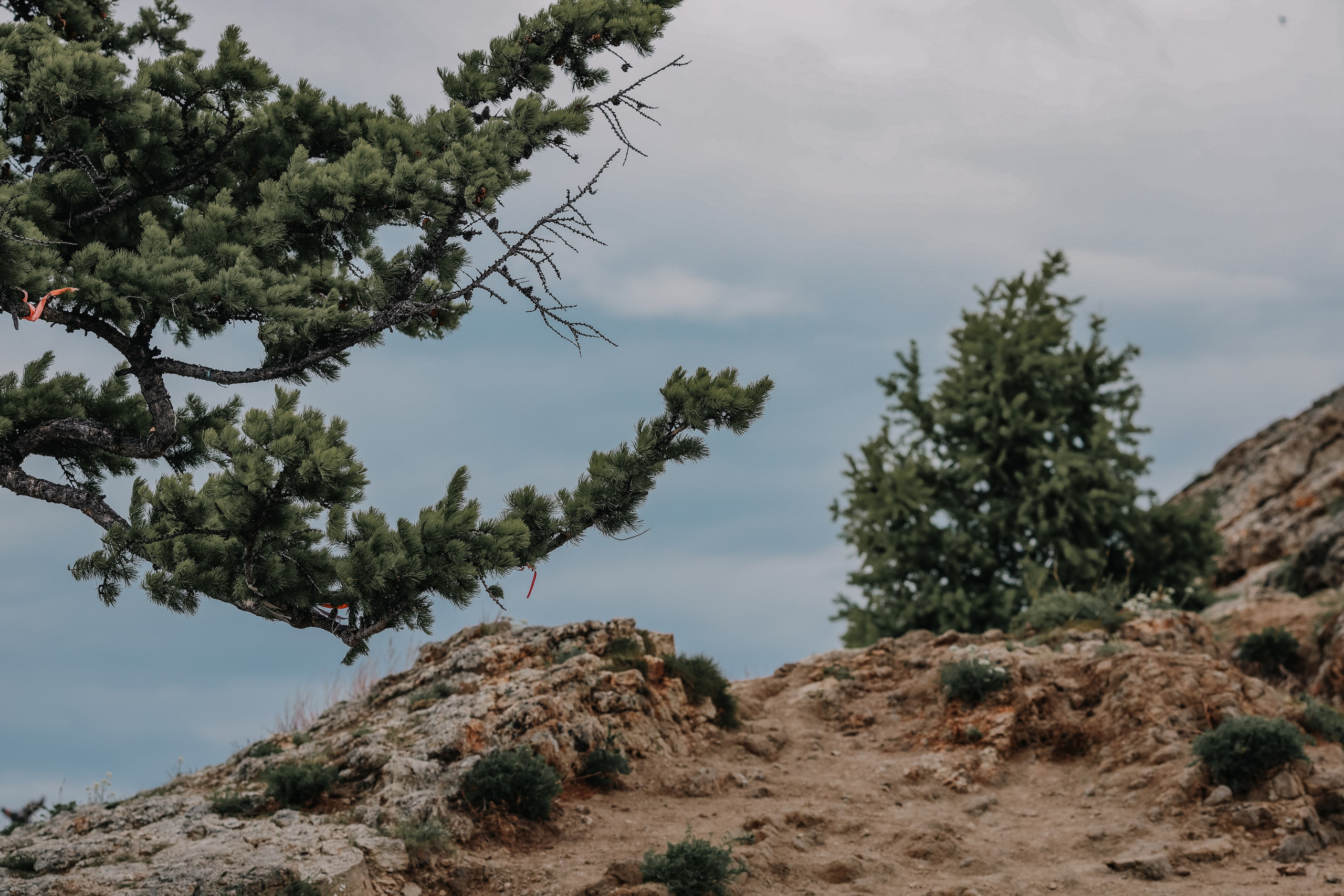 Репортажная съемка. Байкал. Ретит. Ольхон. Фотограф Софья Васильковская