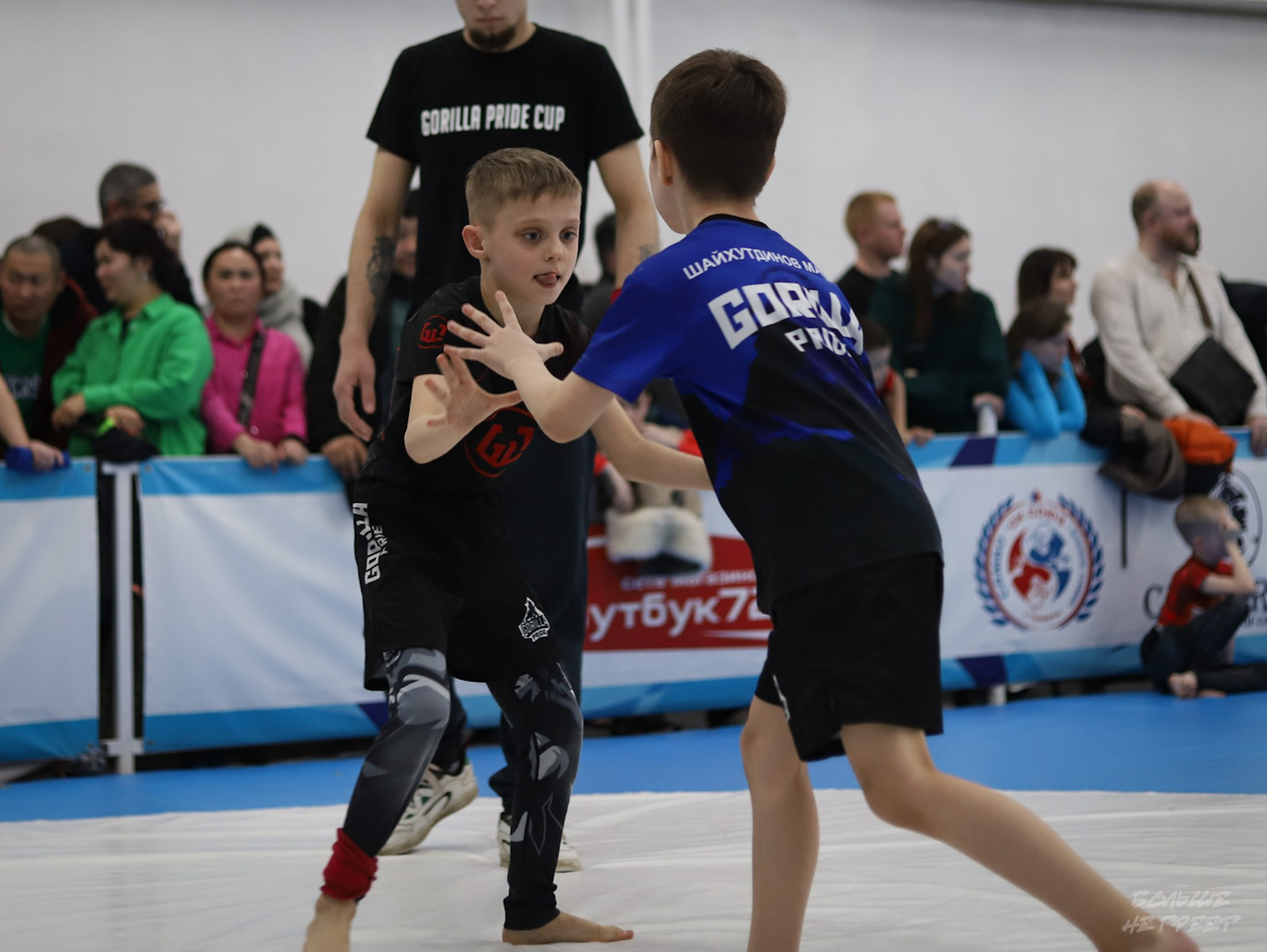 GORILLA PRIDE CUP. Больше не греет