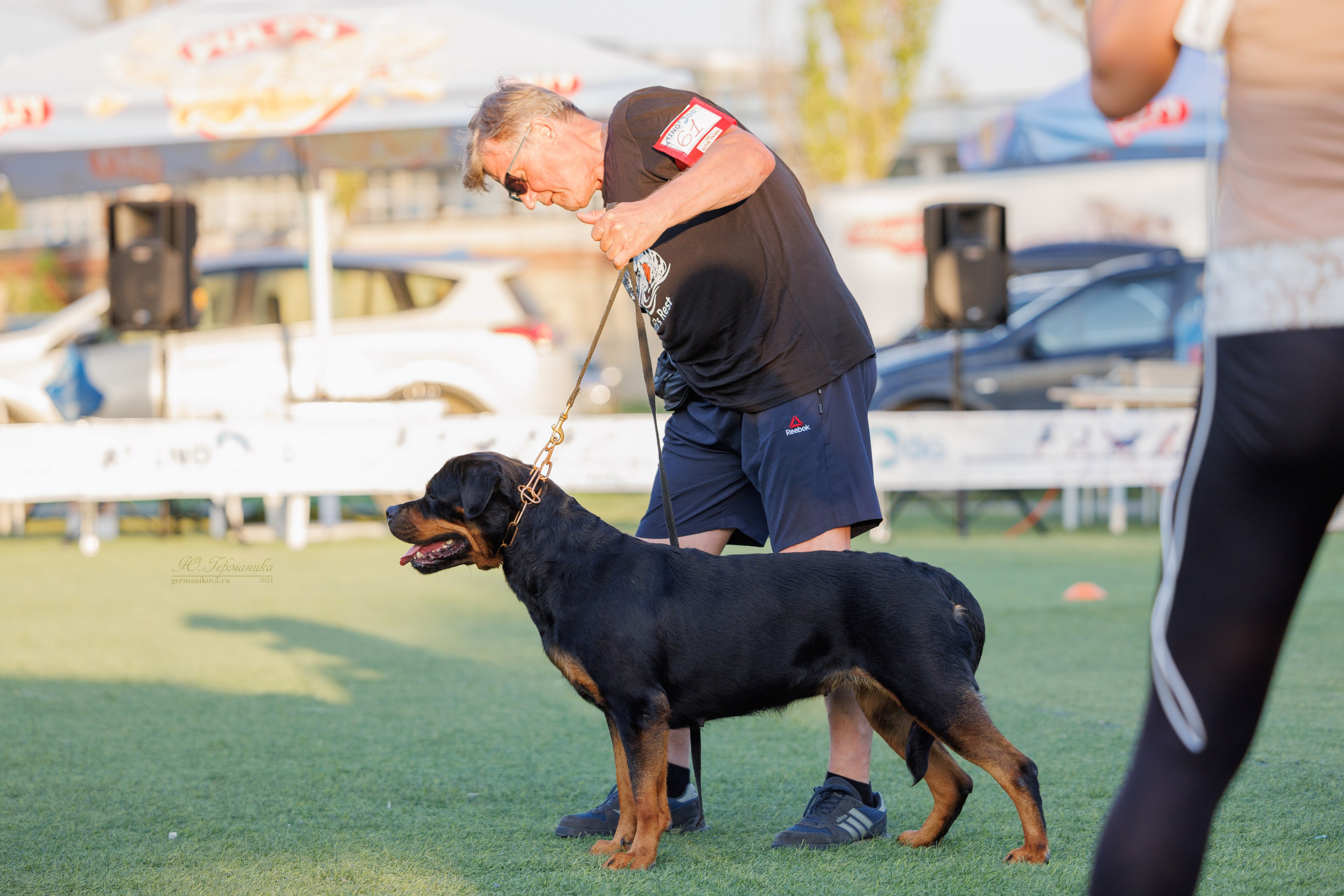 Анапа ротвейлеры 14-15.09.2024. Фотограф-анималист Юлия Германика