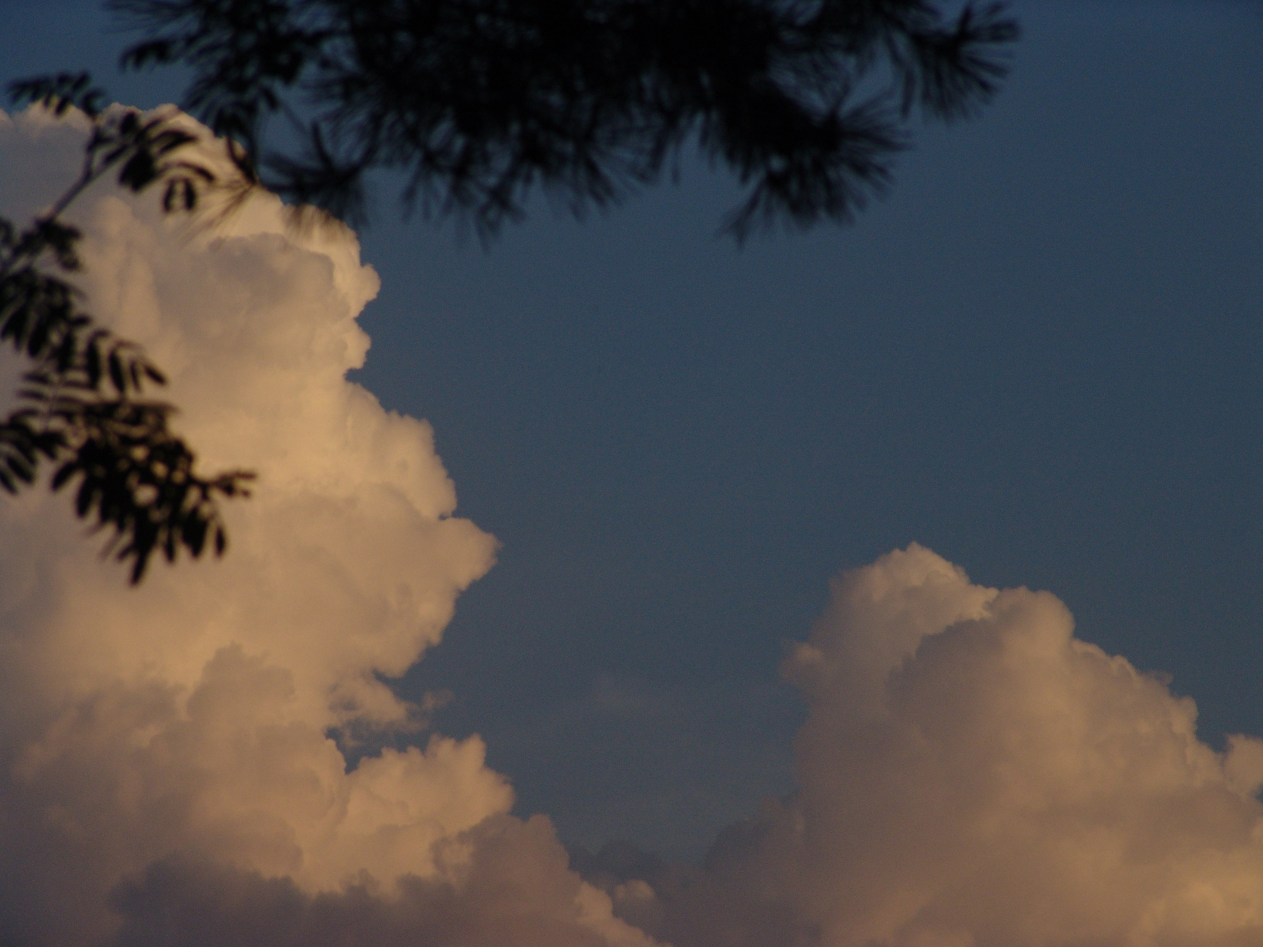 Приезд КС 2005. Заставка