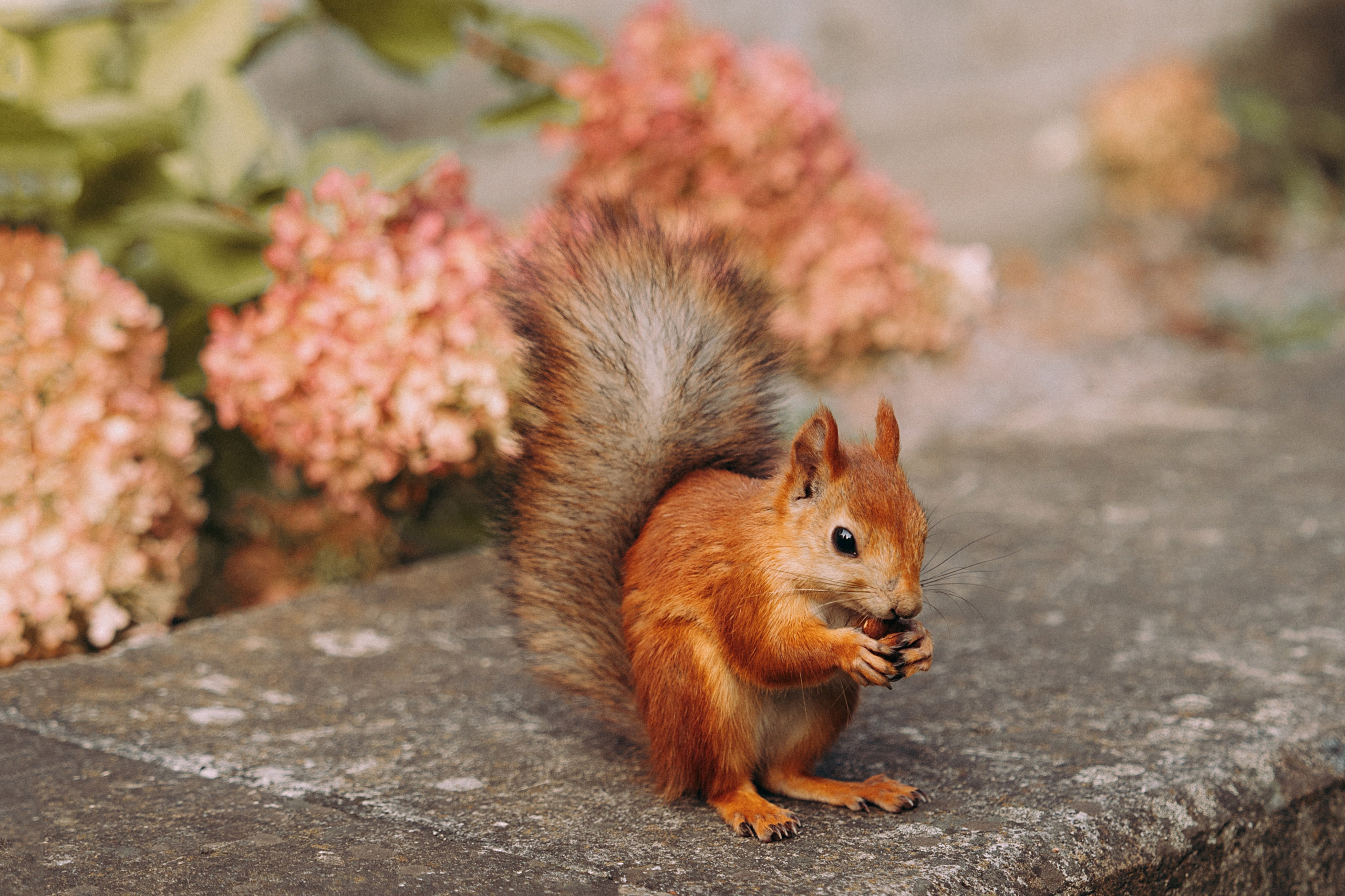 Love Story. Главная