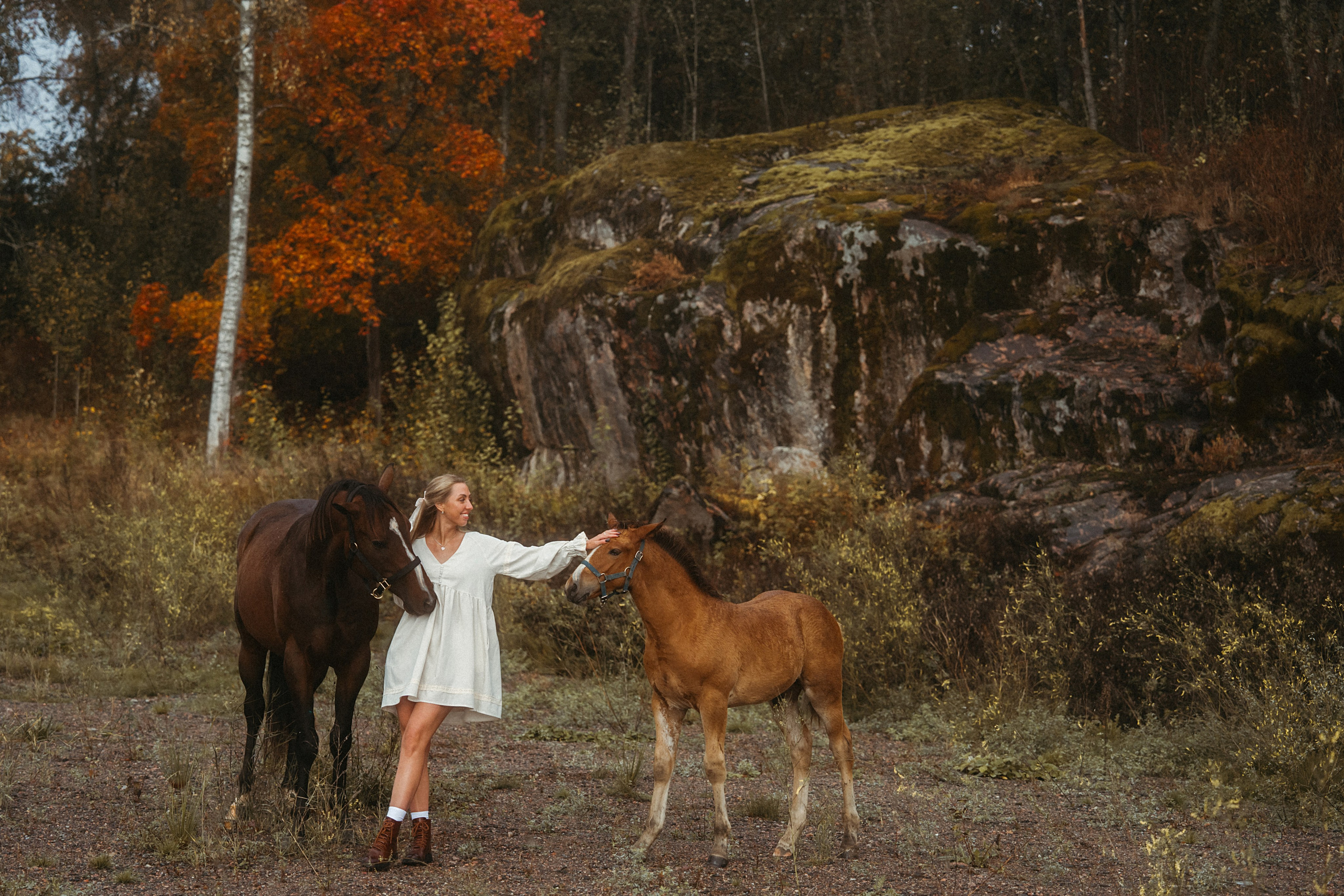 Конные. Главная