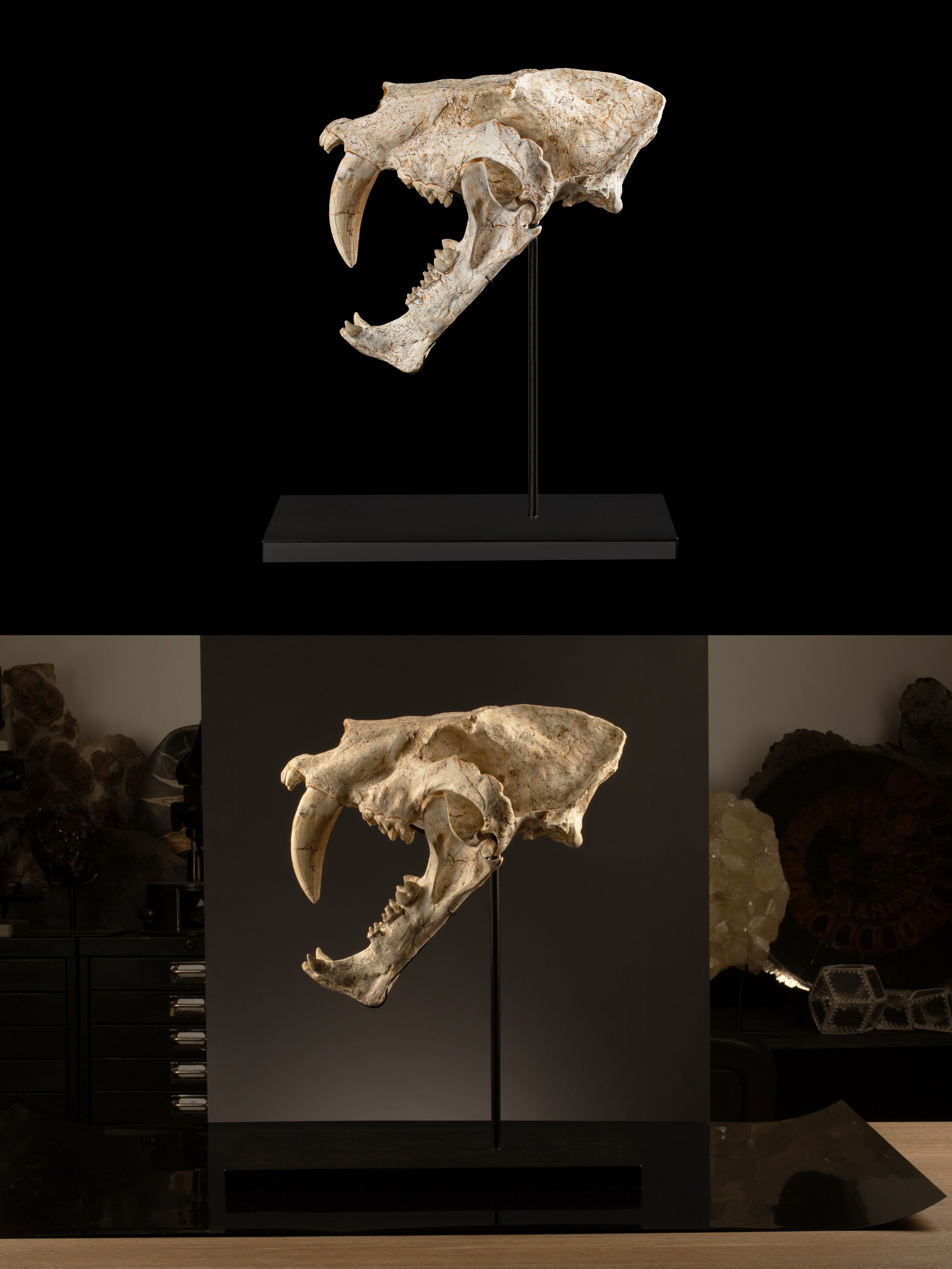 Предметы коллекционирования