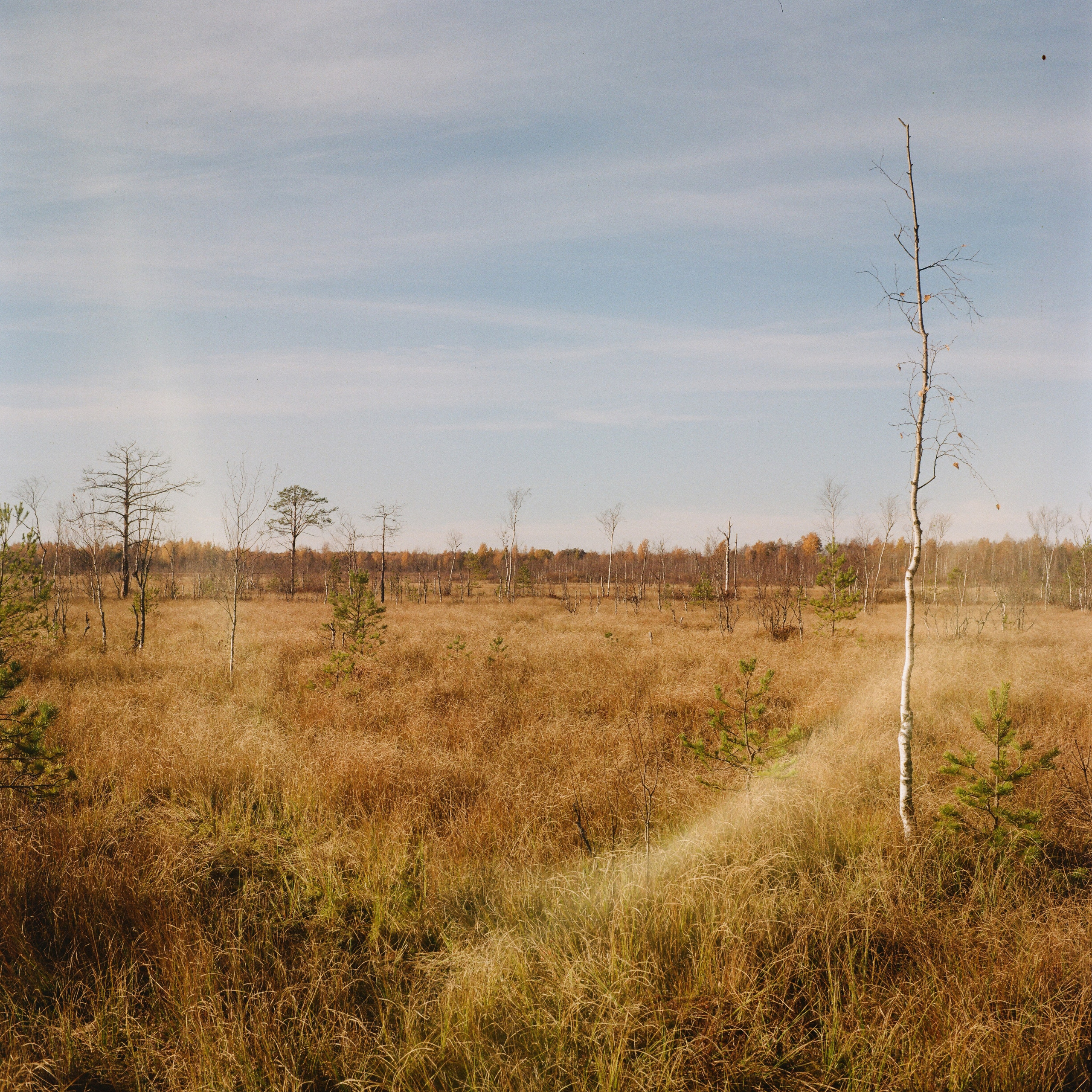 Плёнка 35/120мм. Katya Medvedeva
