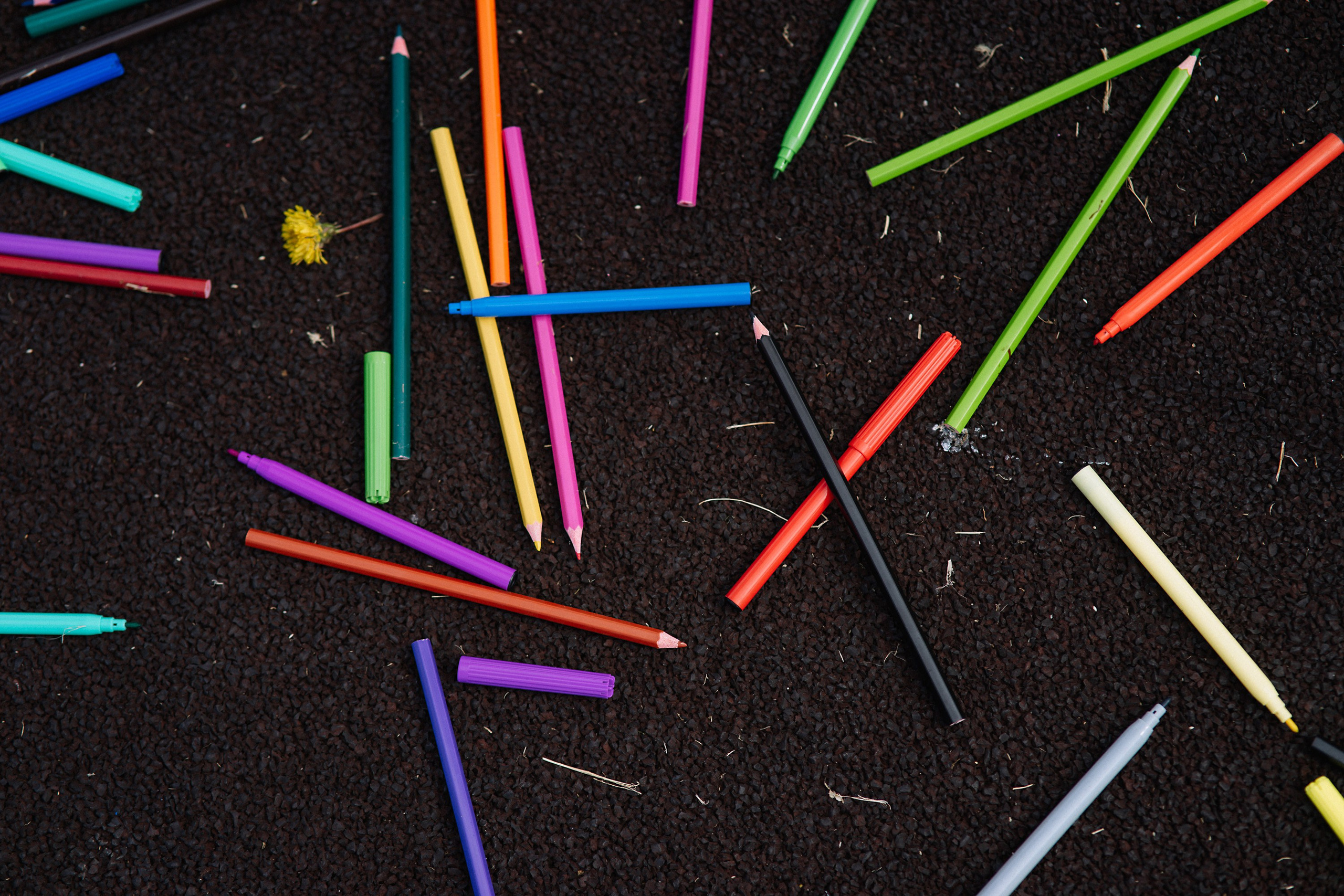 АКТО Гребной Канал. Репортажный (Event) фотограф в Барнауле | Даниил Маркин | Качество и вайб