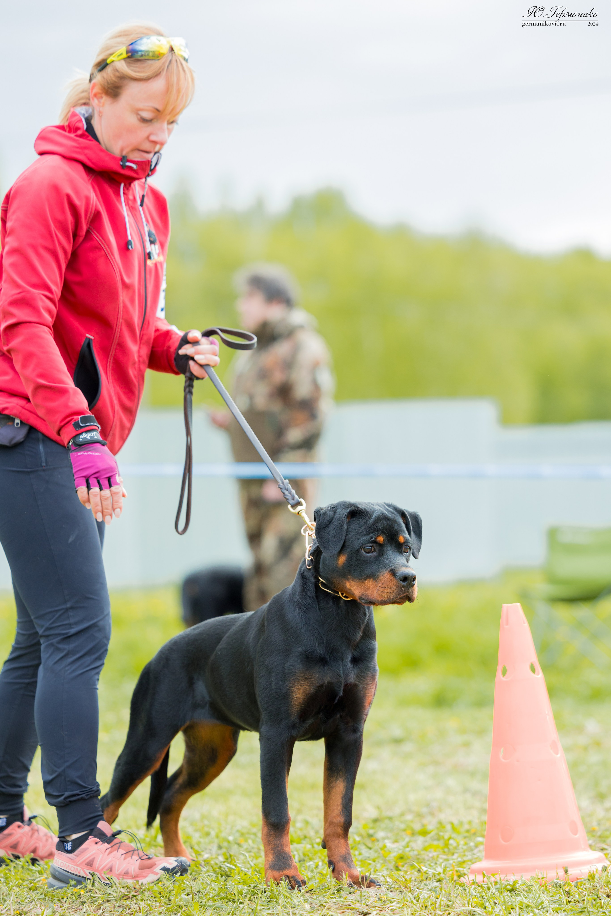 Нижний Новгород 11-12.05.2024 моно ротвейлеров. Фотограф-анималист Юлия Германика