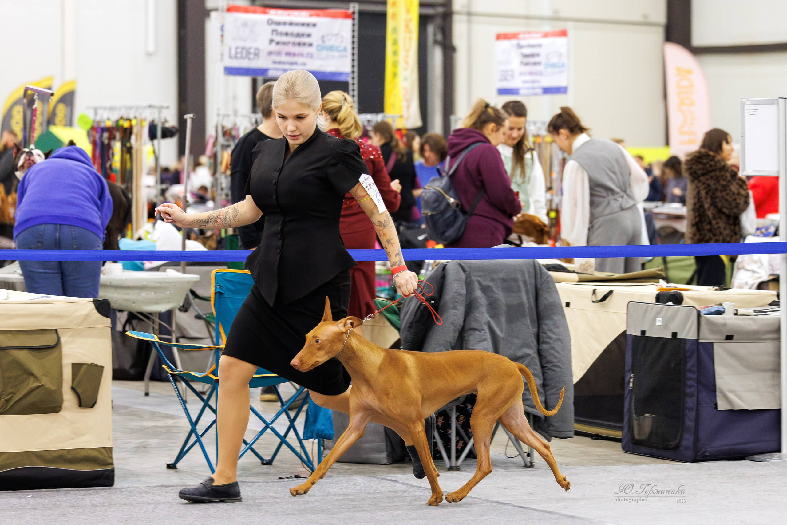 Питер 12-13.12.2025. Фотограф-анималист Юлия Германика