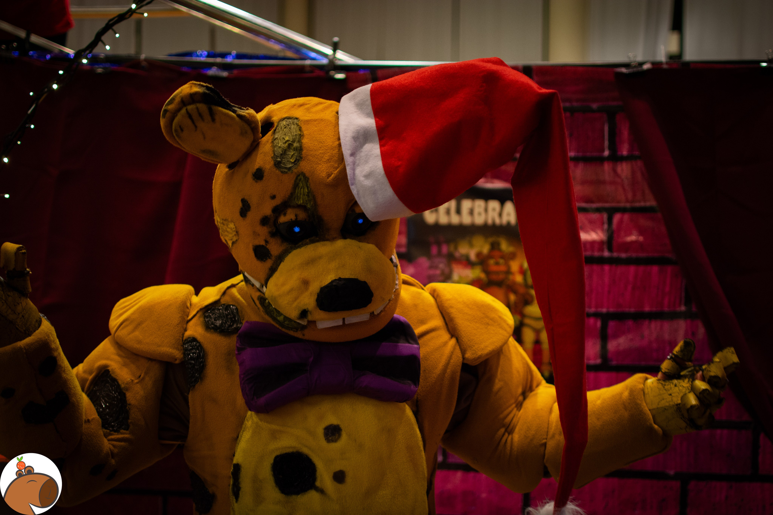 5 ночей с Капибарой. Уголок Капибарки