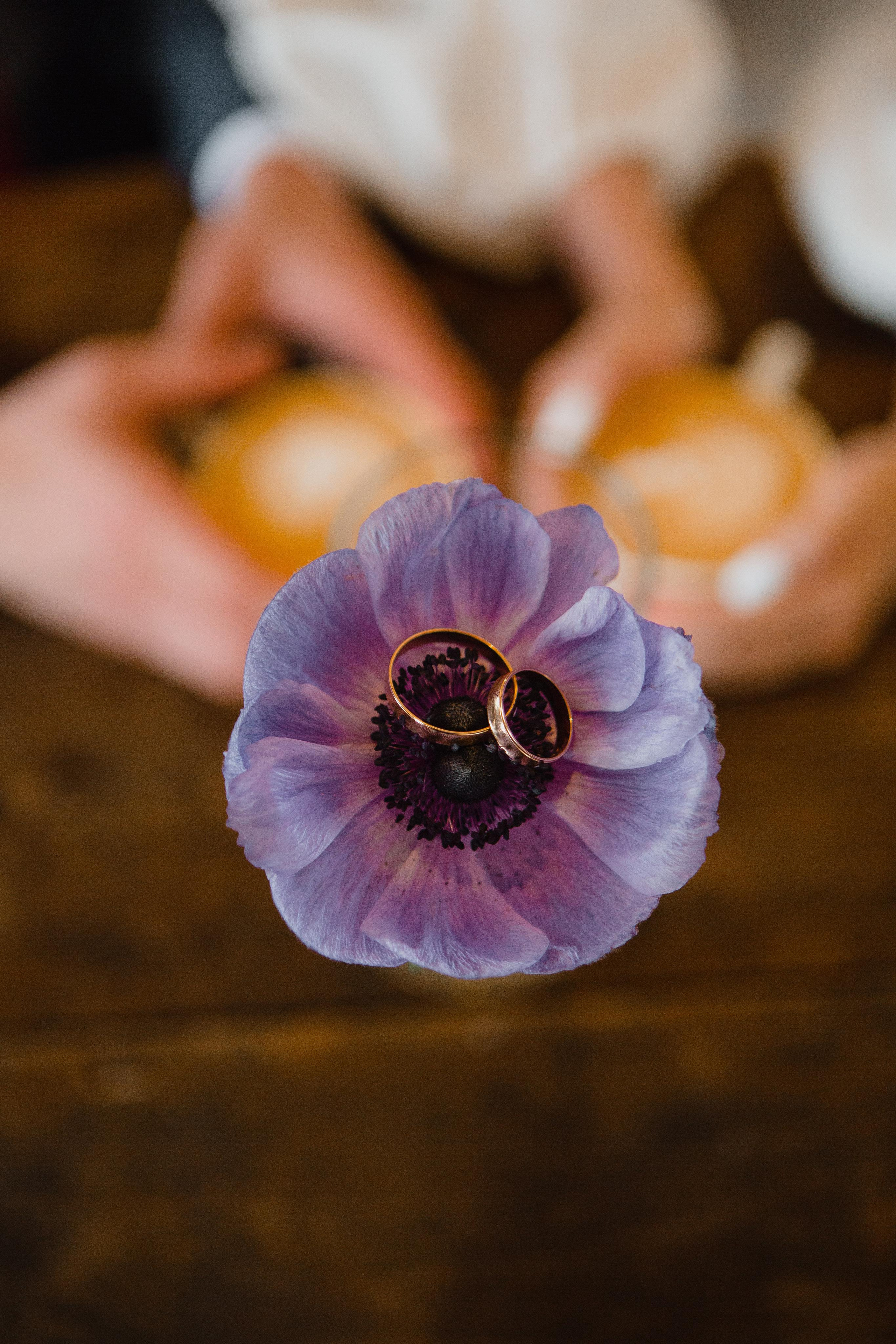 Мария и Иван. Ваш фотограф Любовь Чистякова