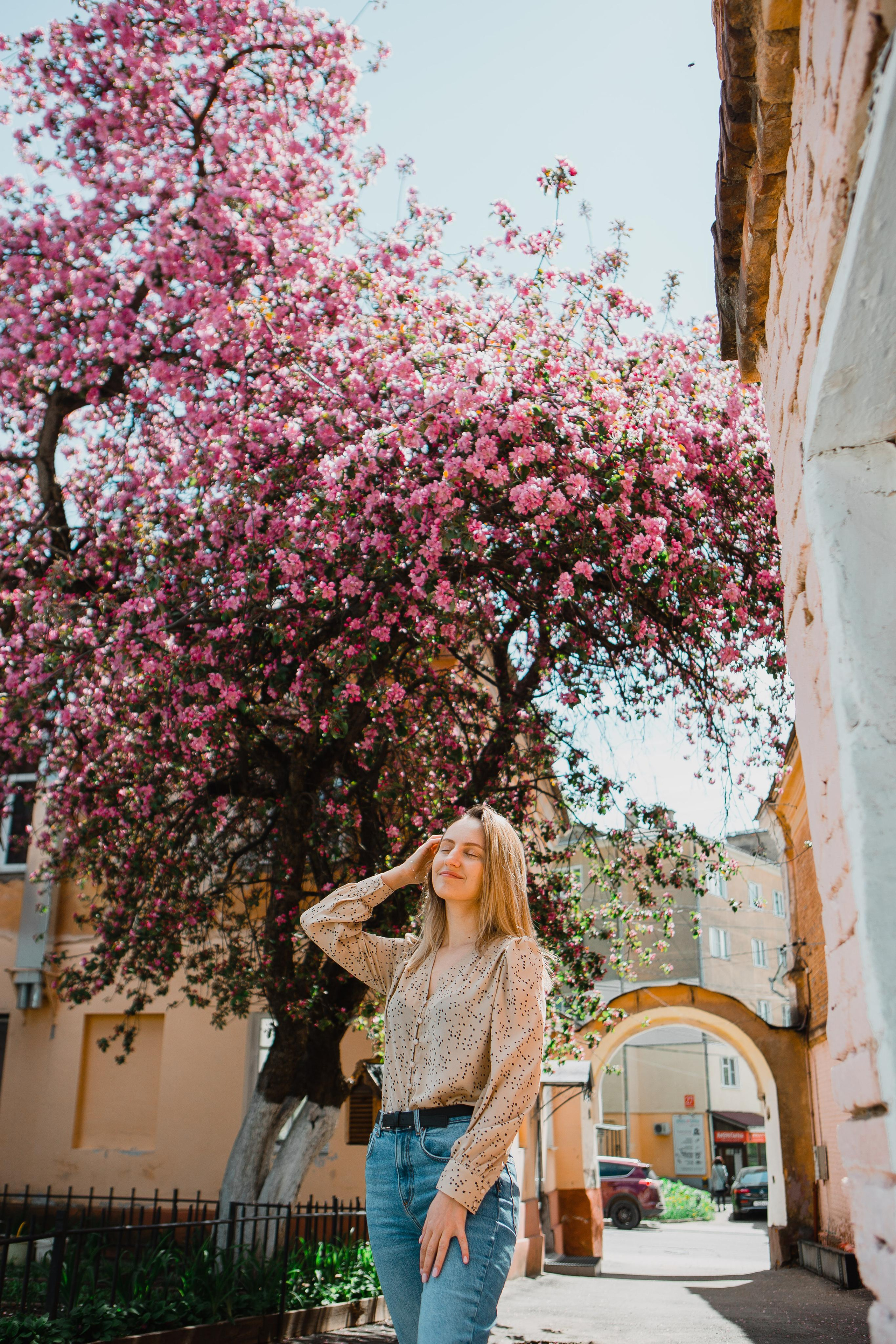 Цветущий горд. Ангелина. Ваш фотограф Любовь Чистякова