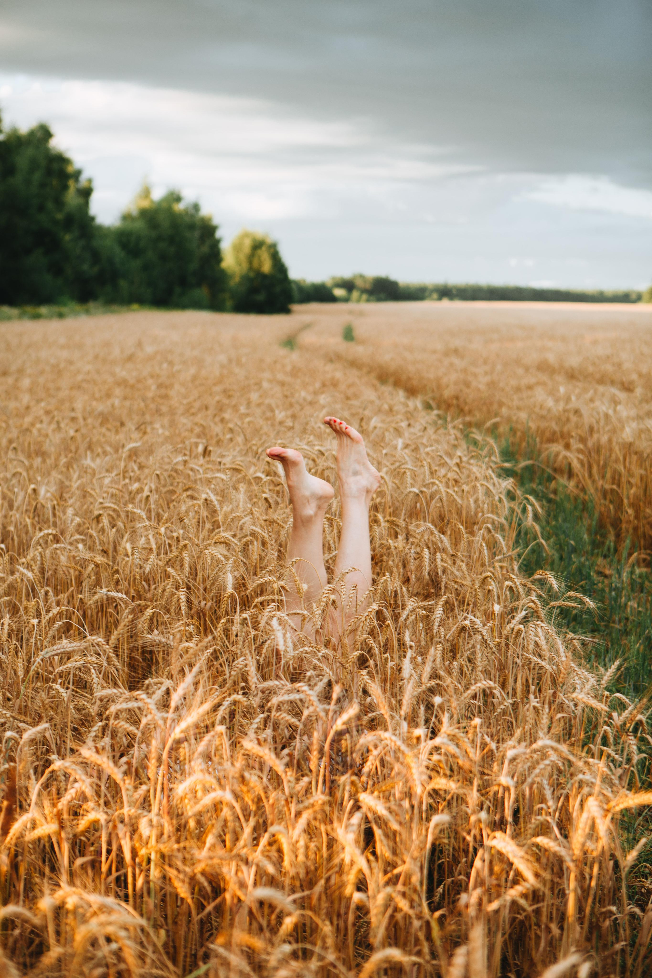 Endless summer. Ваш фотограф Любовь Чистякова