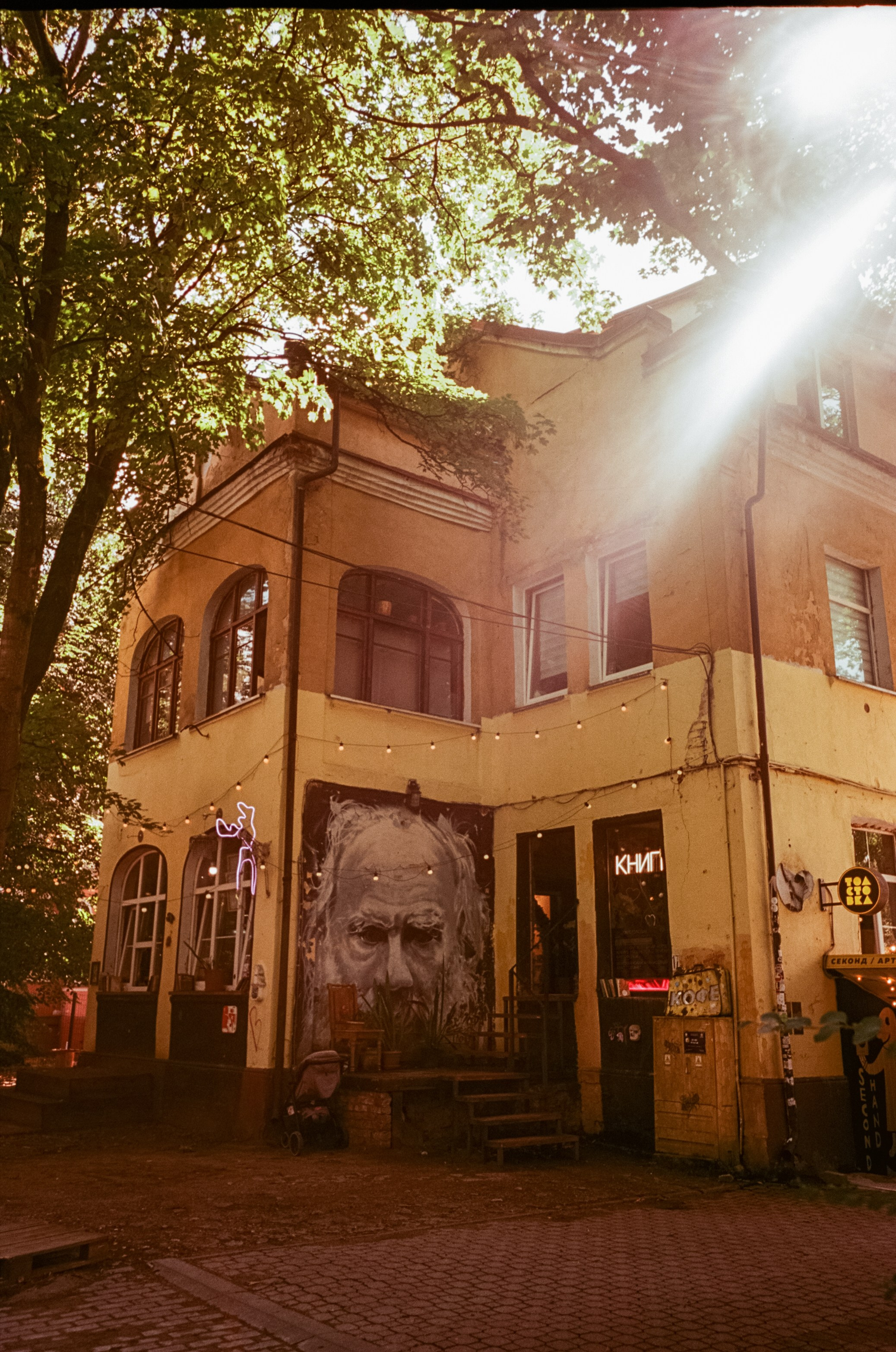 Арт-кафе Толстой, Калининград. Фотограф-документалист Мария Осокина