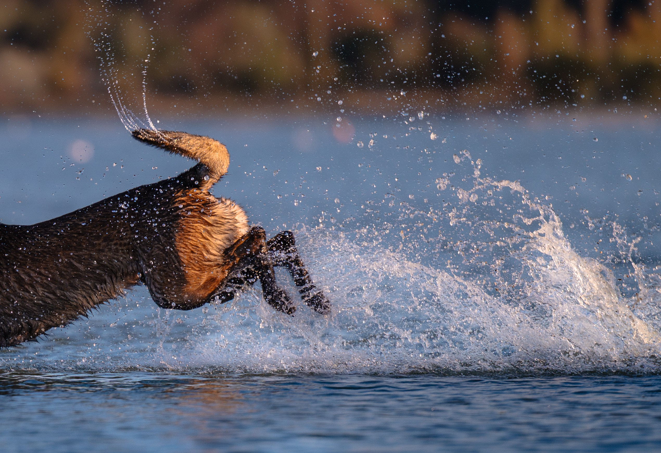 Вечер на заливе. Фотограф в Ростове —на — Дону