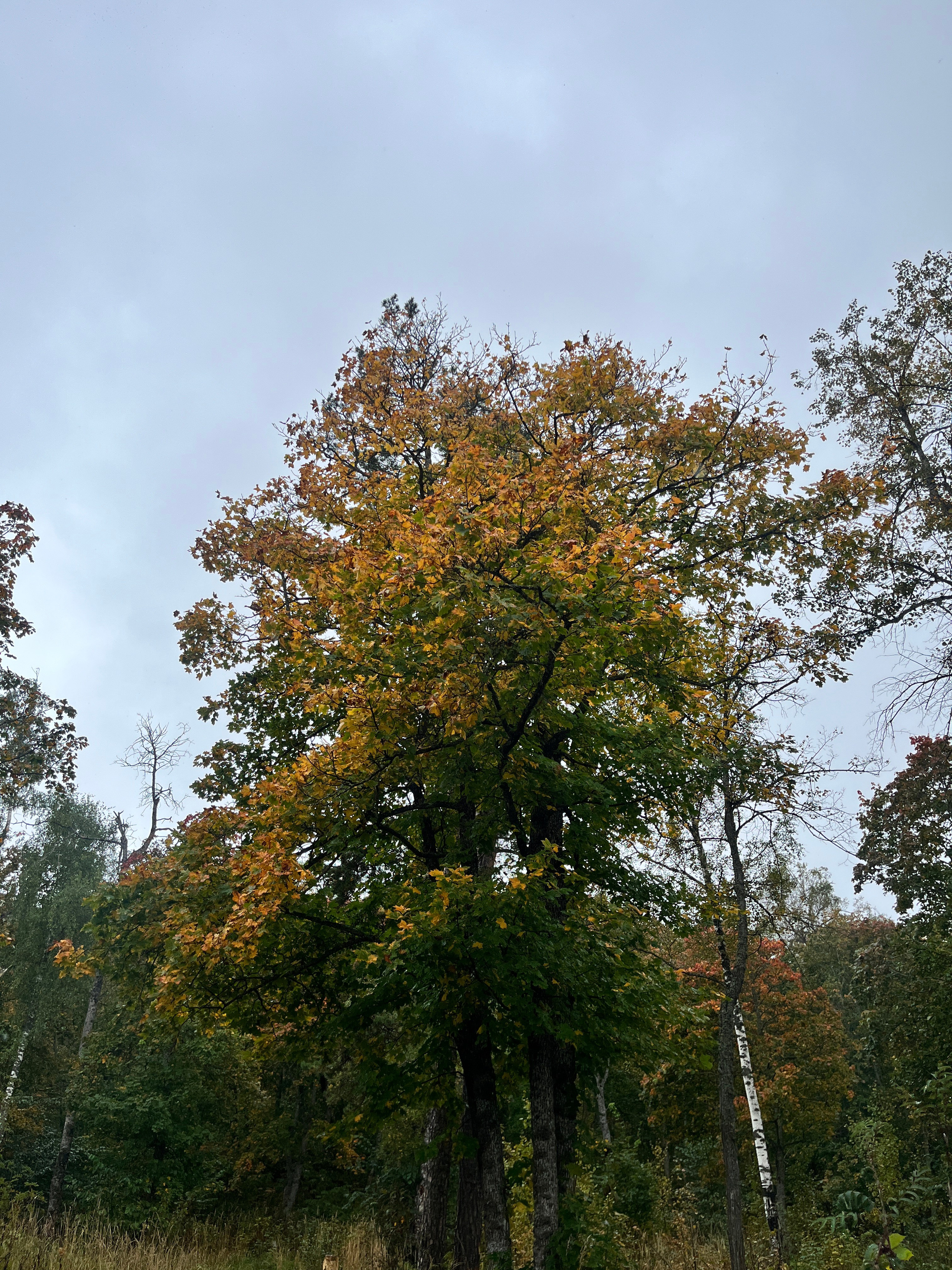 Фото с походов на Айгир — Время приключений