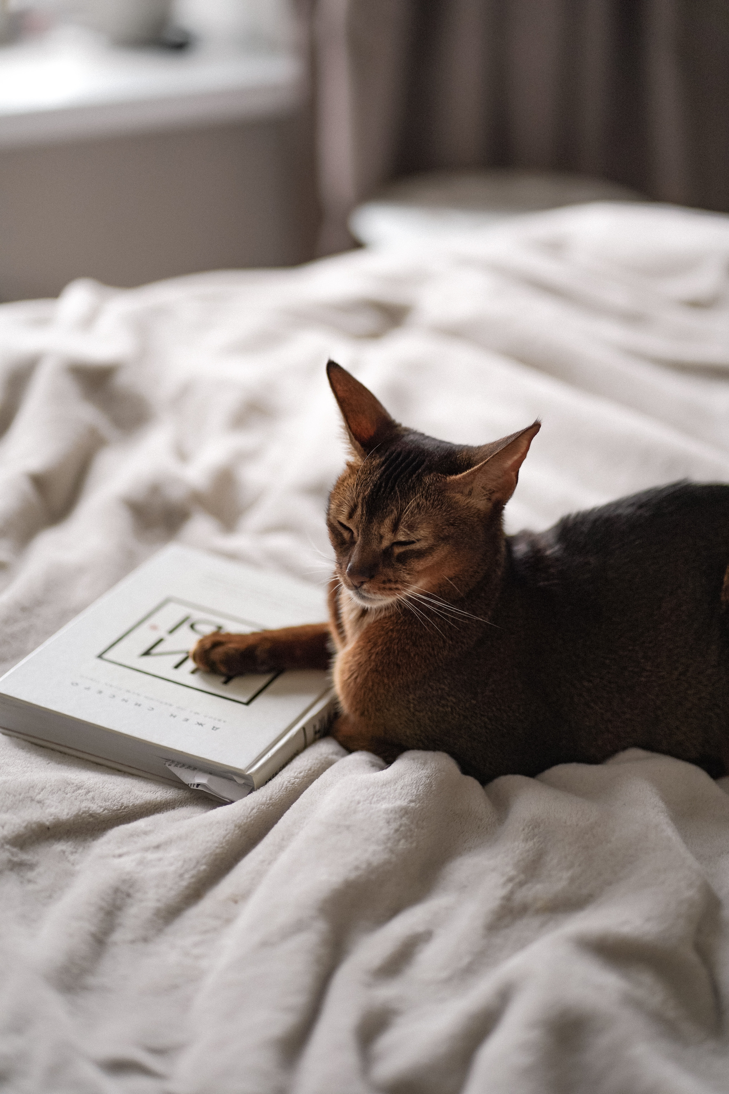 Юля, Сережа и Оскар. Lifestyle