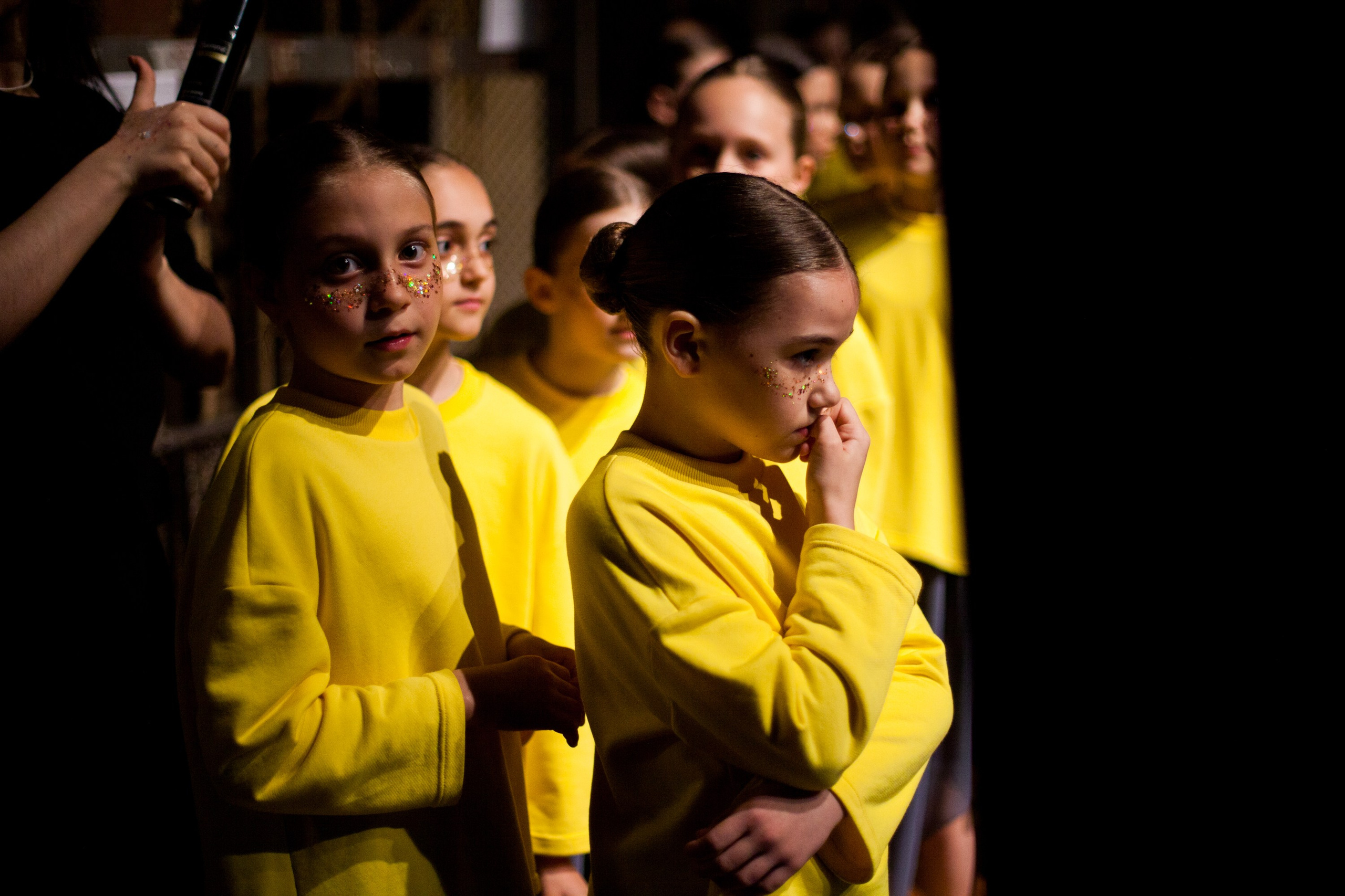 Концерты. Виолетта Скрипка