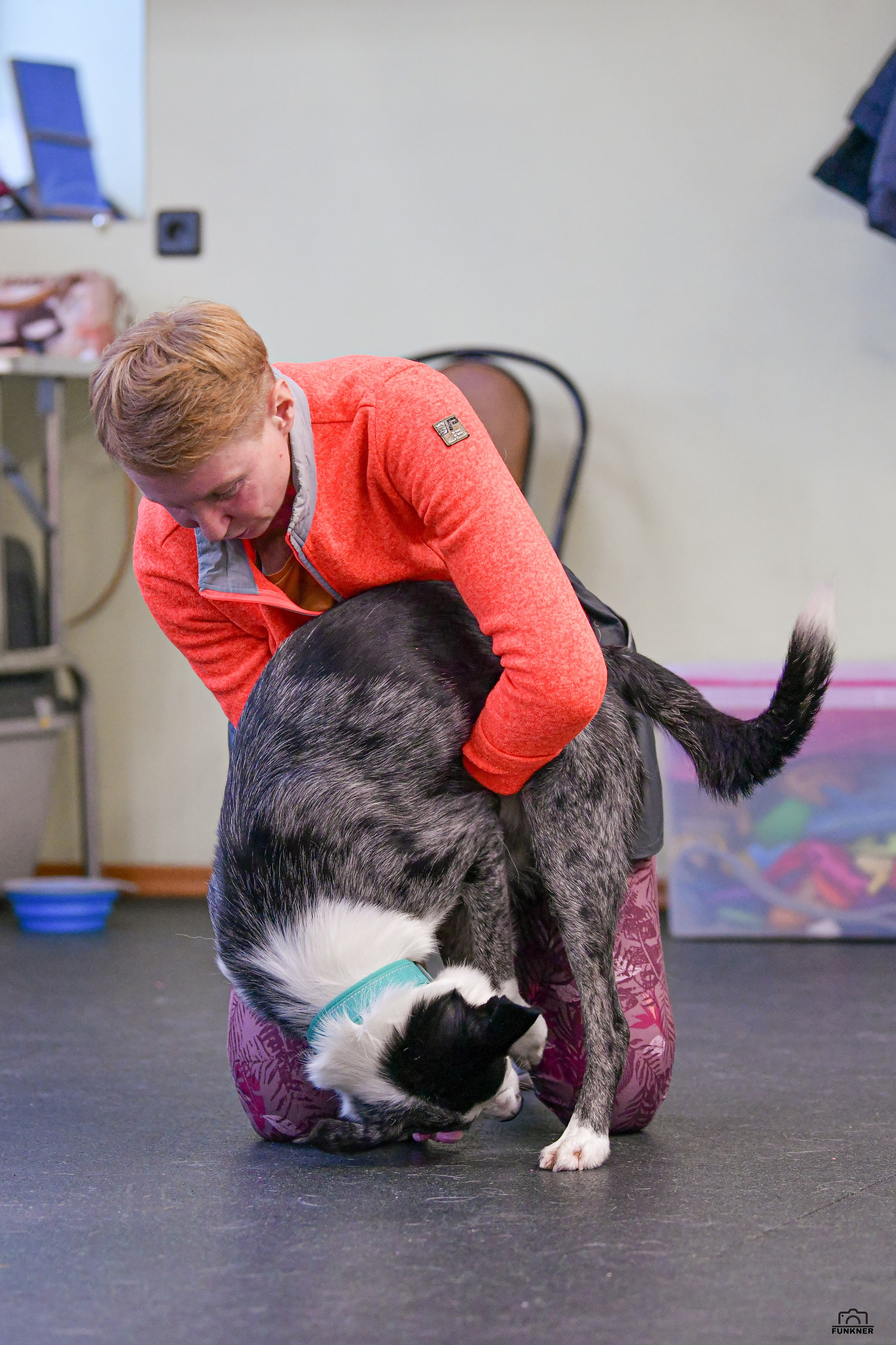 Кинологический клуб «Бодрый хвост». Свой взгляд через объектив