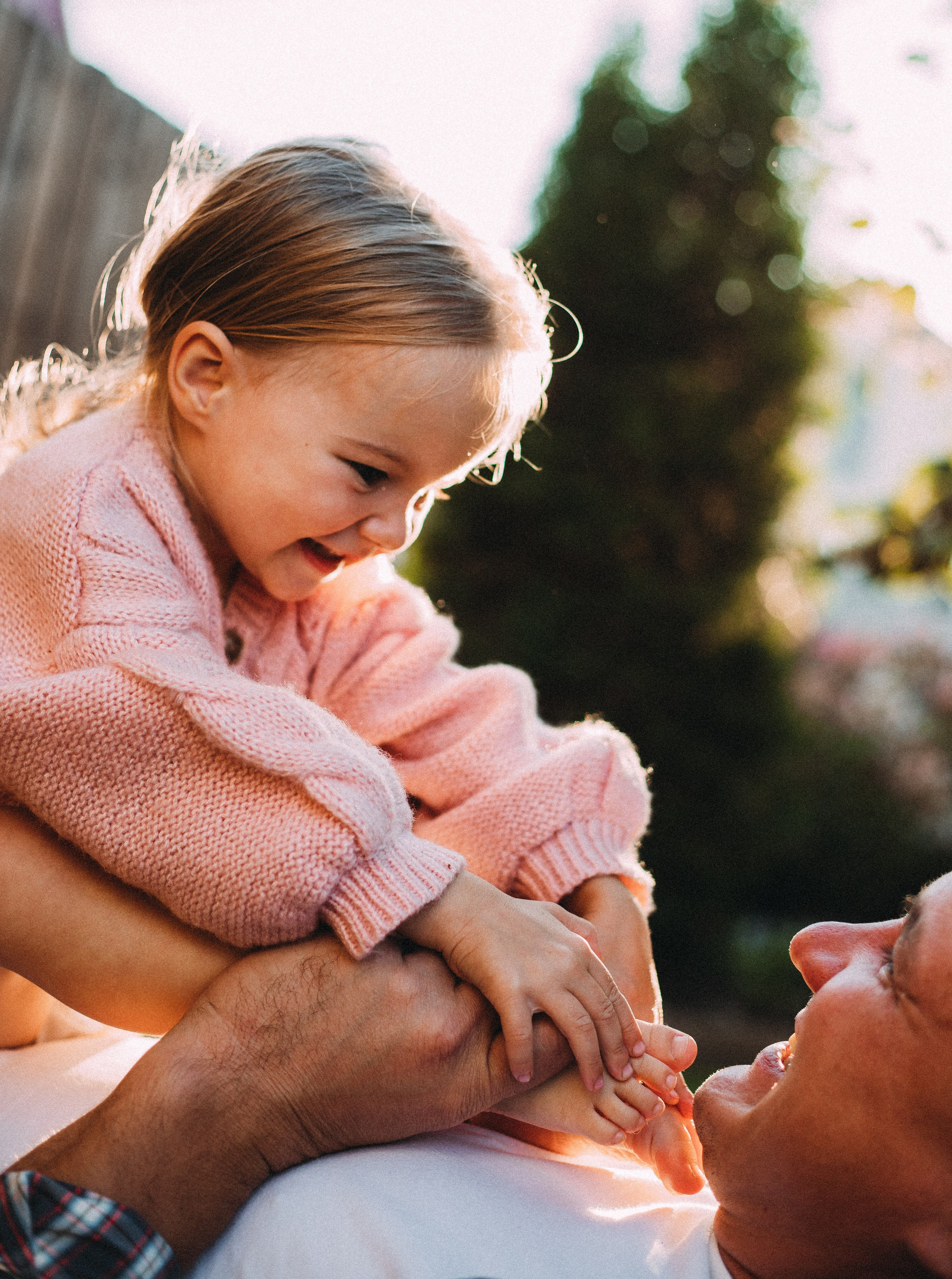 Дача. Главная