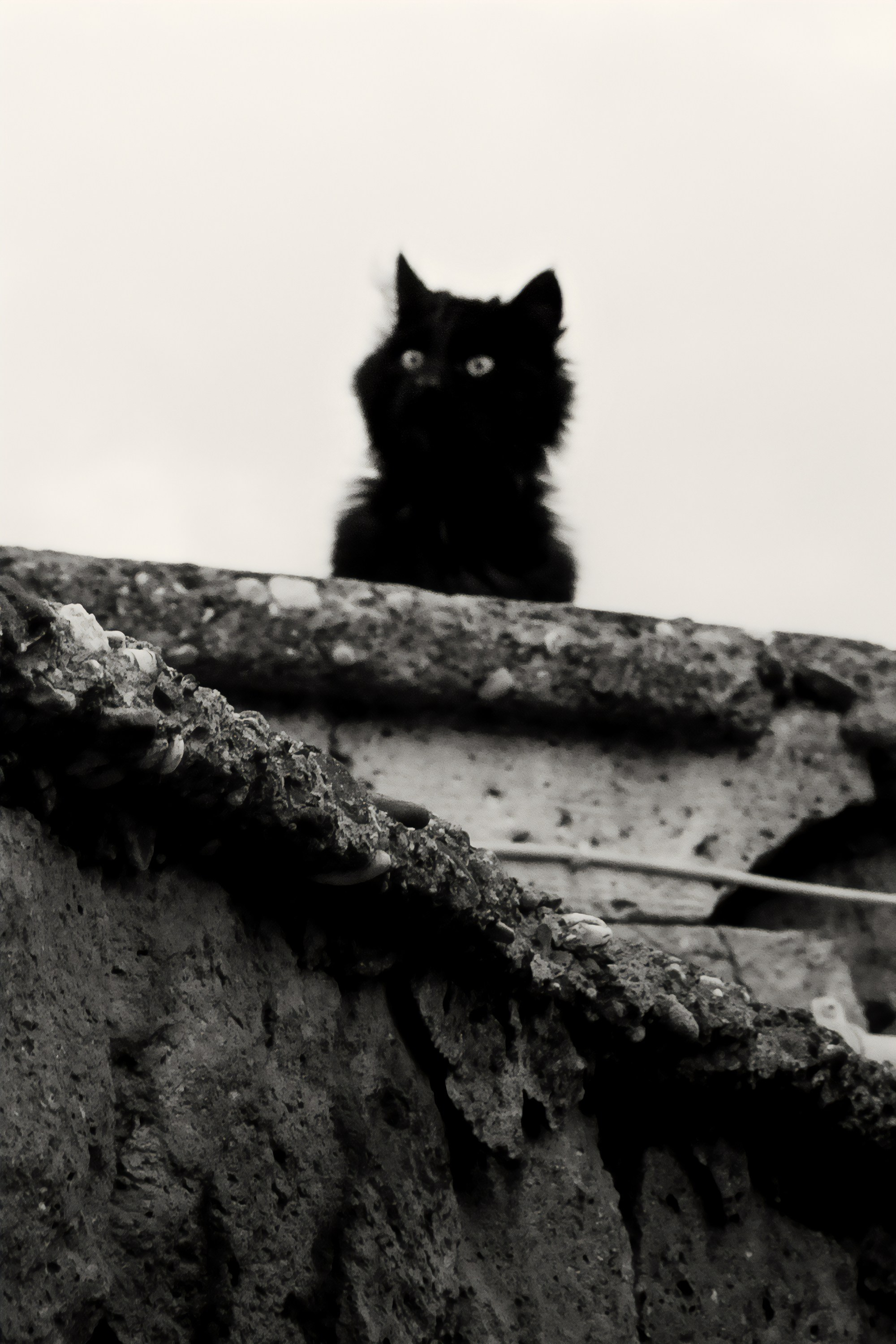 Турция, Греция, Иордания. Фотограф в Хабаровске. Фотография за 24 часа