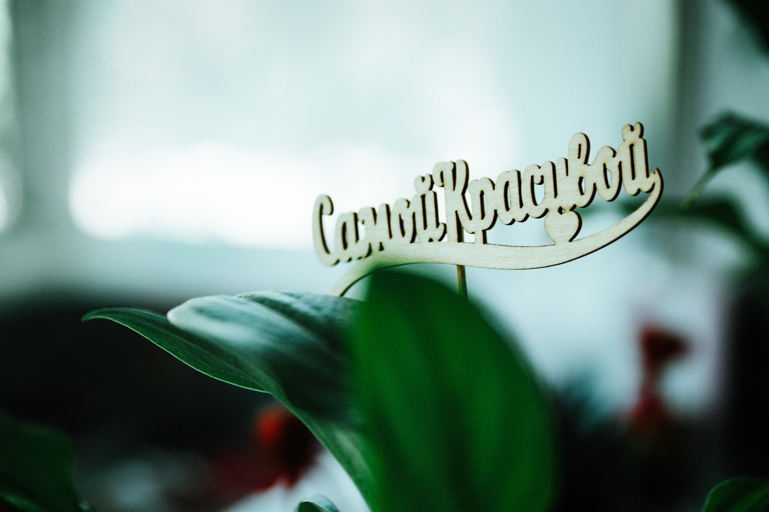 Свадьба Лизы и Сергея. Свадебный и портретный фотограф в Комсомольске-на-Амуре Сергей Лазарен