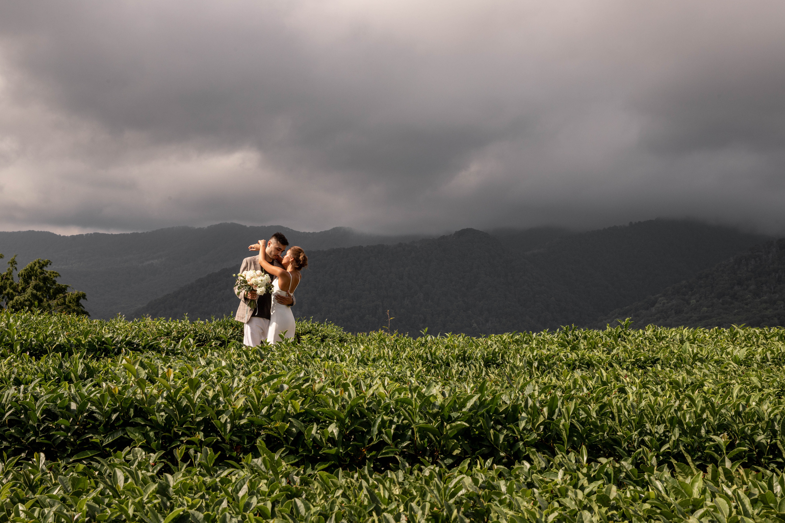 Чайные плантации. Водопад. Владимир и Марго. Фотограф свадебный Москва.Серпухов. Андрей Гоев