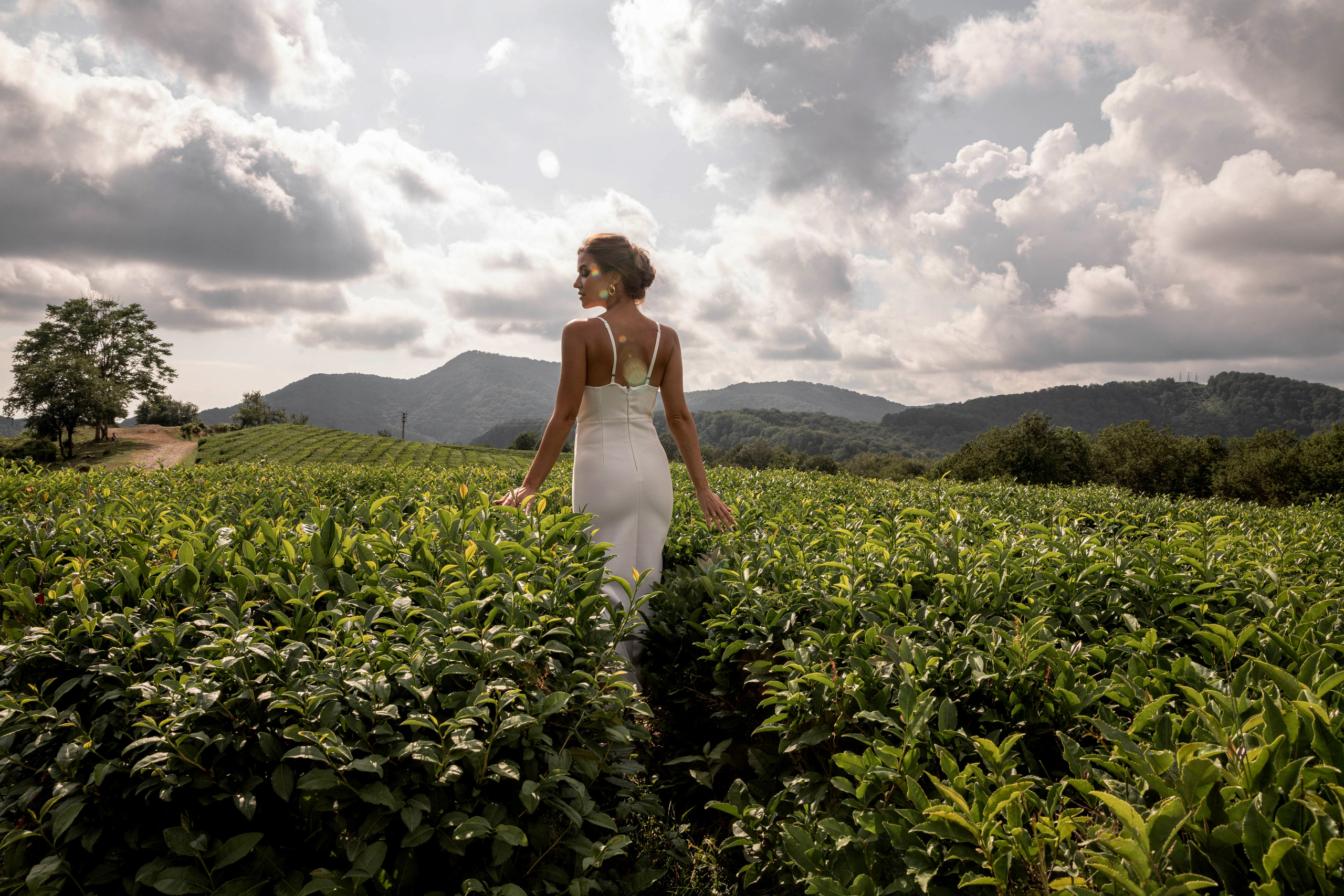 Чайные плантации. Водопад. Владимир и Марго. Фотограф свадебный Москва.Серпухов. Андрей Гоев