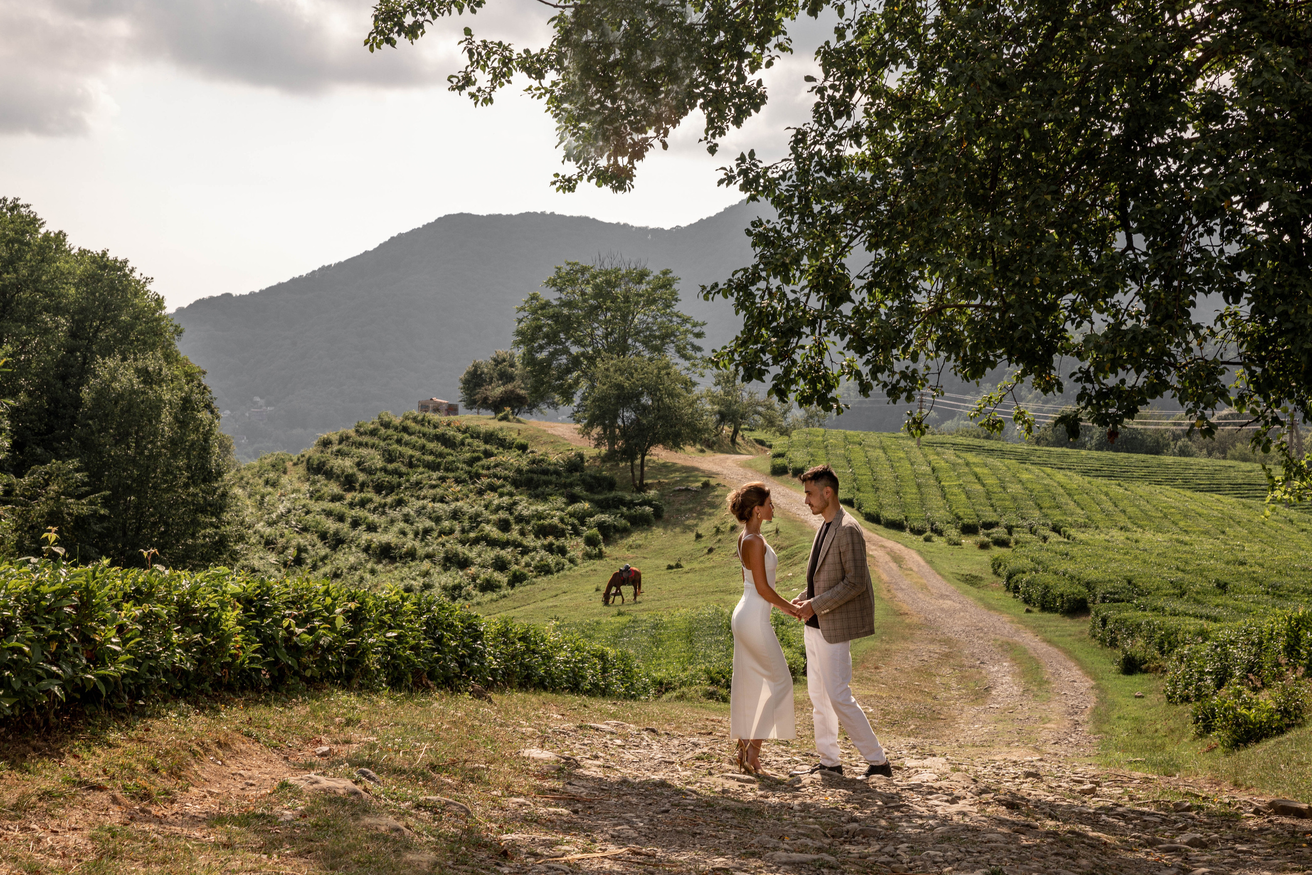 Чайные плантации. Водопад. Владимир и Марго. Фотограф свадебный Москва.Серпухов. Андрей Гоев
