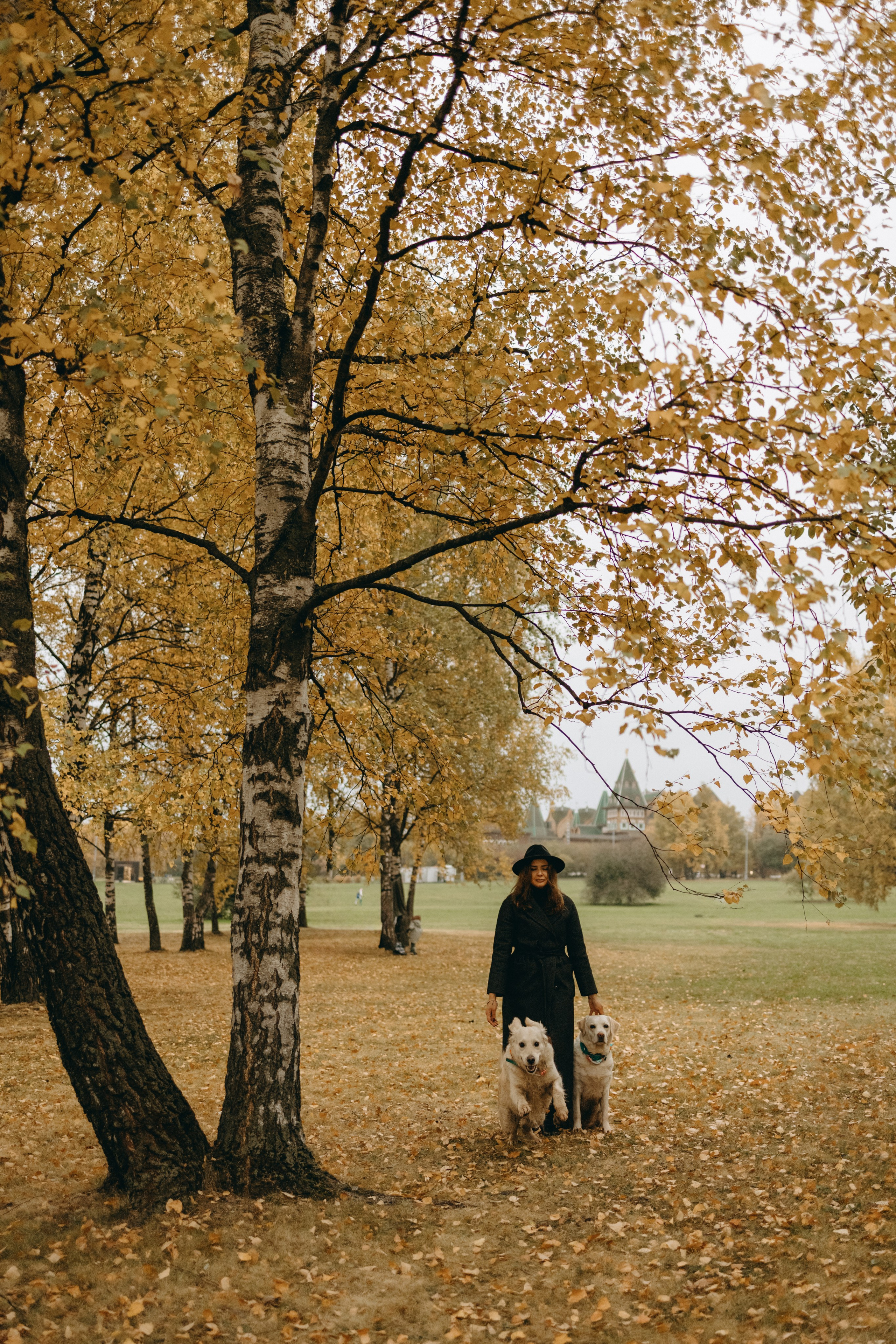 Женя и ее девочки. Фотограф — Анималист | Санкт-Петербург