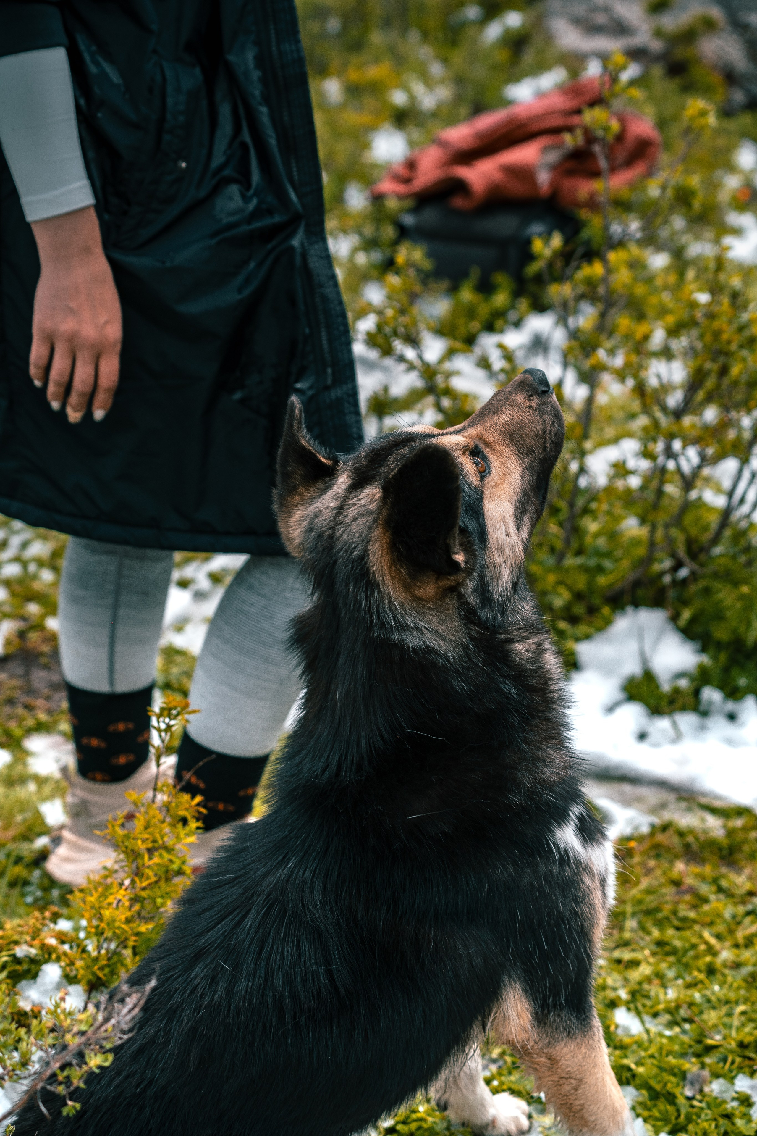 Алтай. Оператор и Фотограф в Санкт-Петербурге и Москве