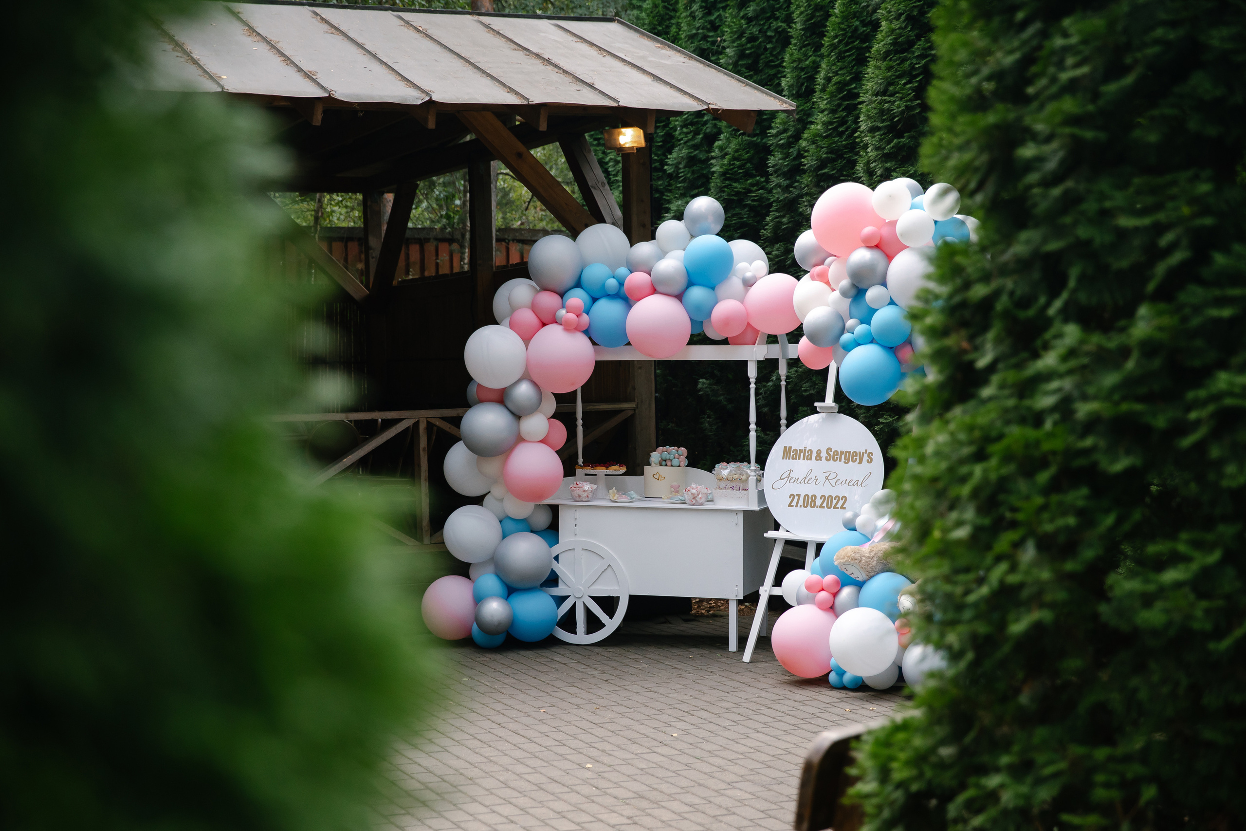 Девочка или мальчик?. Анастасия Мелёхина Фотограф Москва, Свадебный фотограф Москва