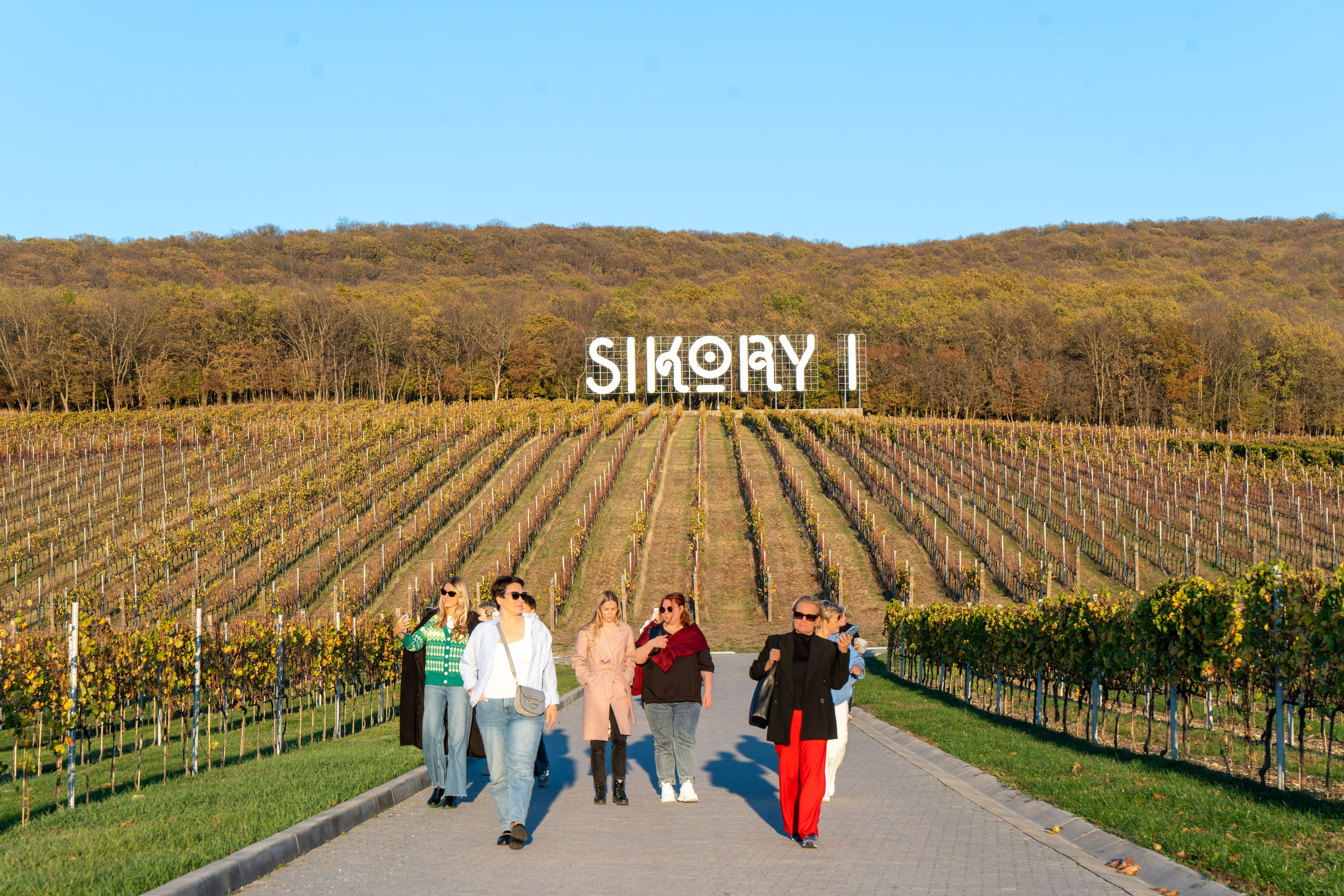 Литературная мастерская с Ольгой Шутовой в «Винотеррии». Репортажный фотограф в Красной Поляне и Сочи Павлюченко Екатерина