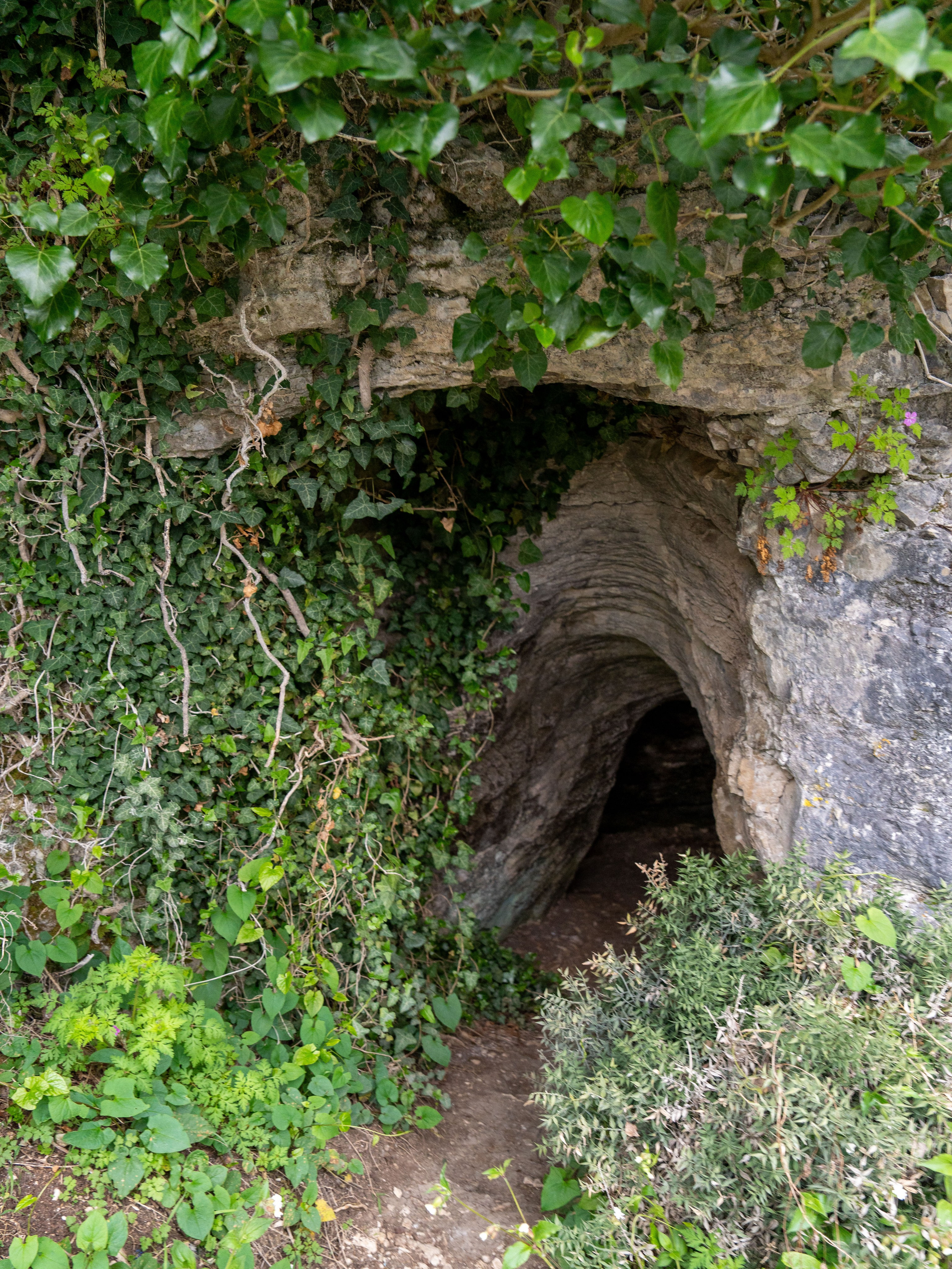 MICE мероприятие — джиппинг на каньон Псахо. Репортажный фотограф в Красной Поляне и Сочи Павлюченко Екатерина
