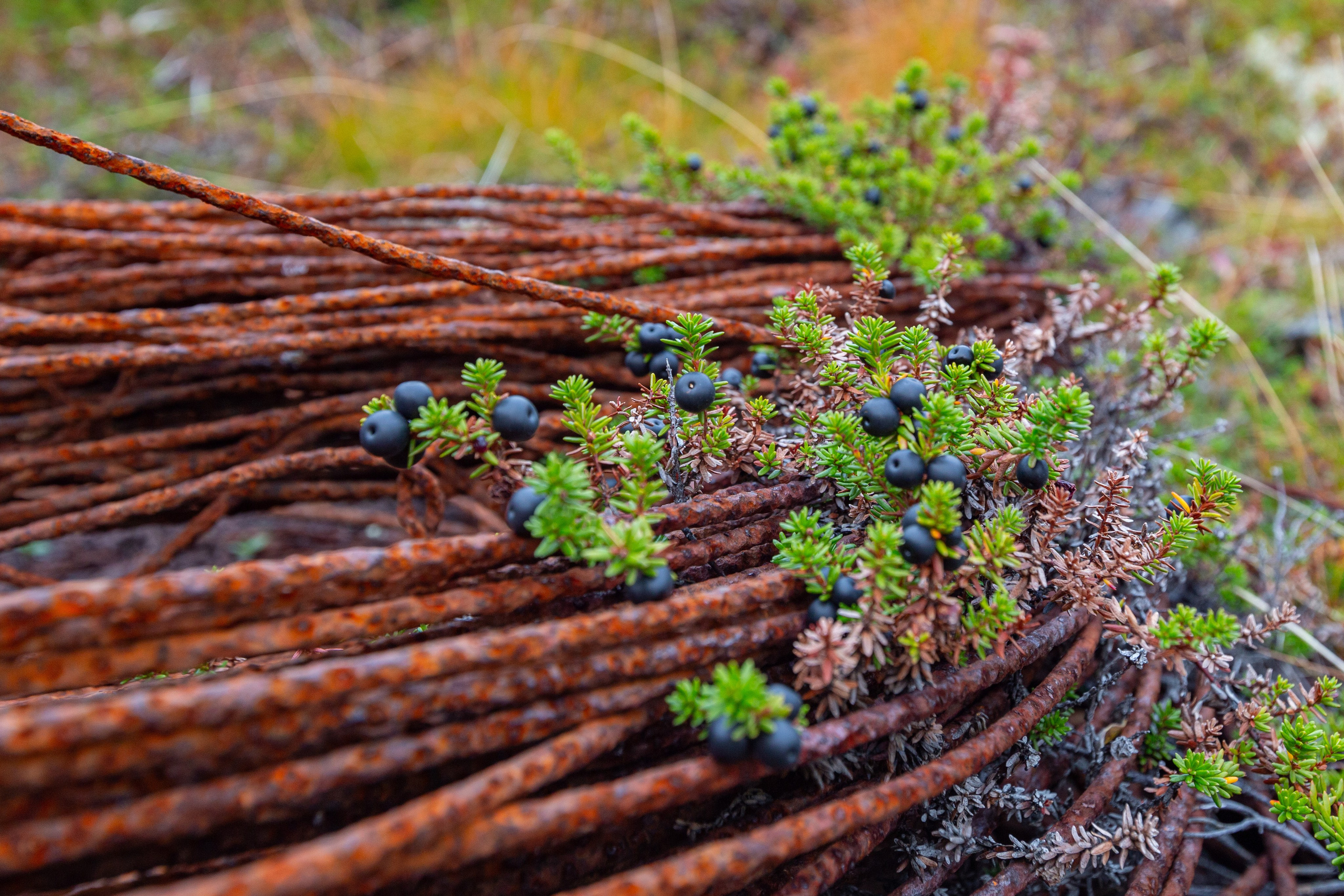 П-ов РЫБАЧИЙ. Фототуры и обучение пейзажной фотографии