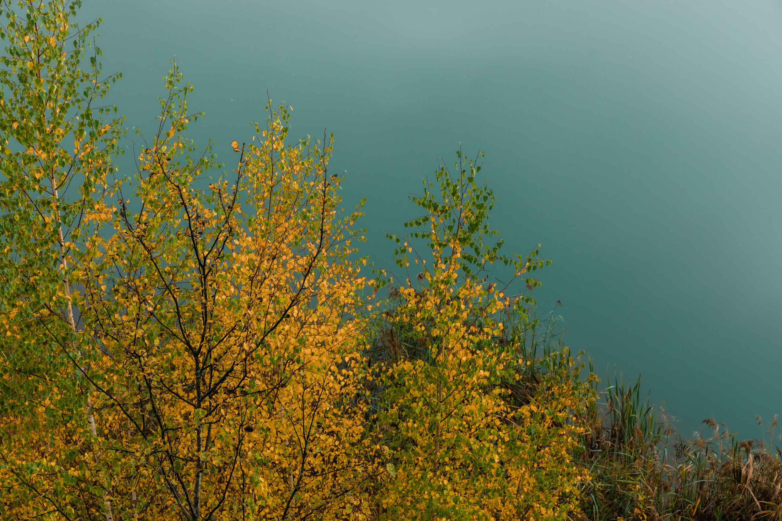 Кондуки. Октябрь 2023. Фотографии