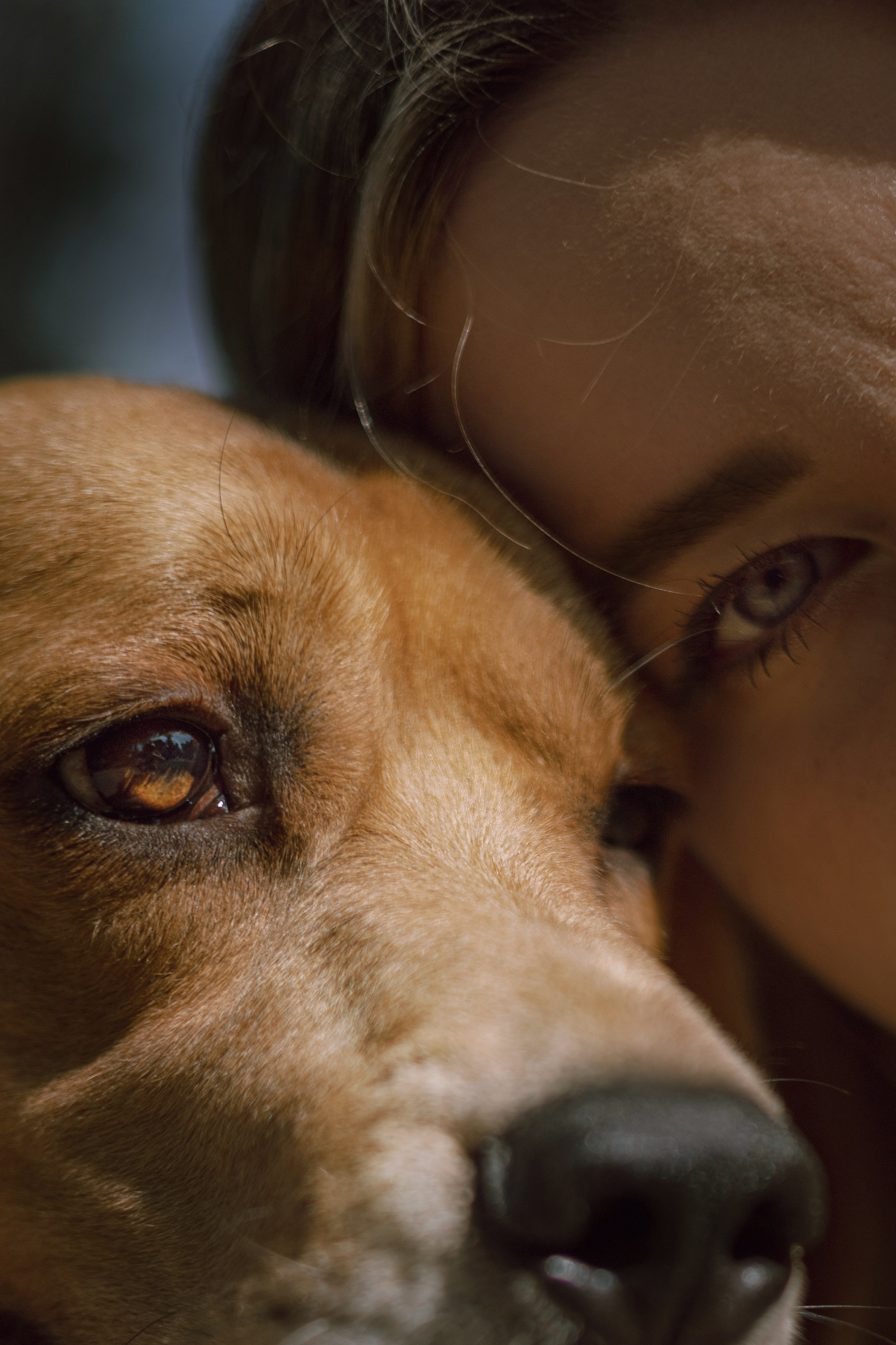 Оуджи и Катя. Фотограф — анималист •love-story•|Санкт-Петербург