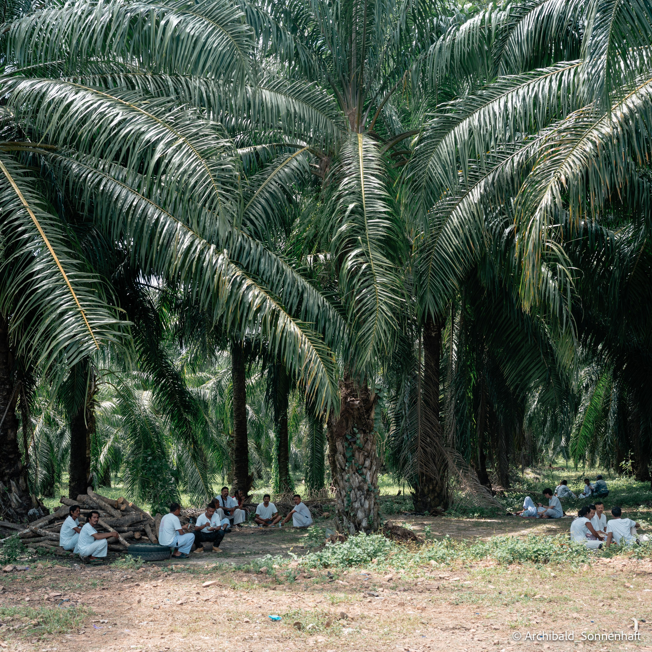 Thai monk. Photographer in Guangzhou, China. Archibald Sonnenhaft