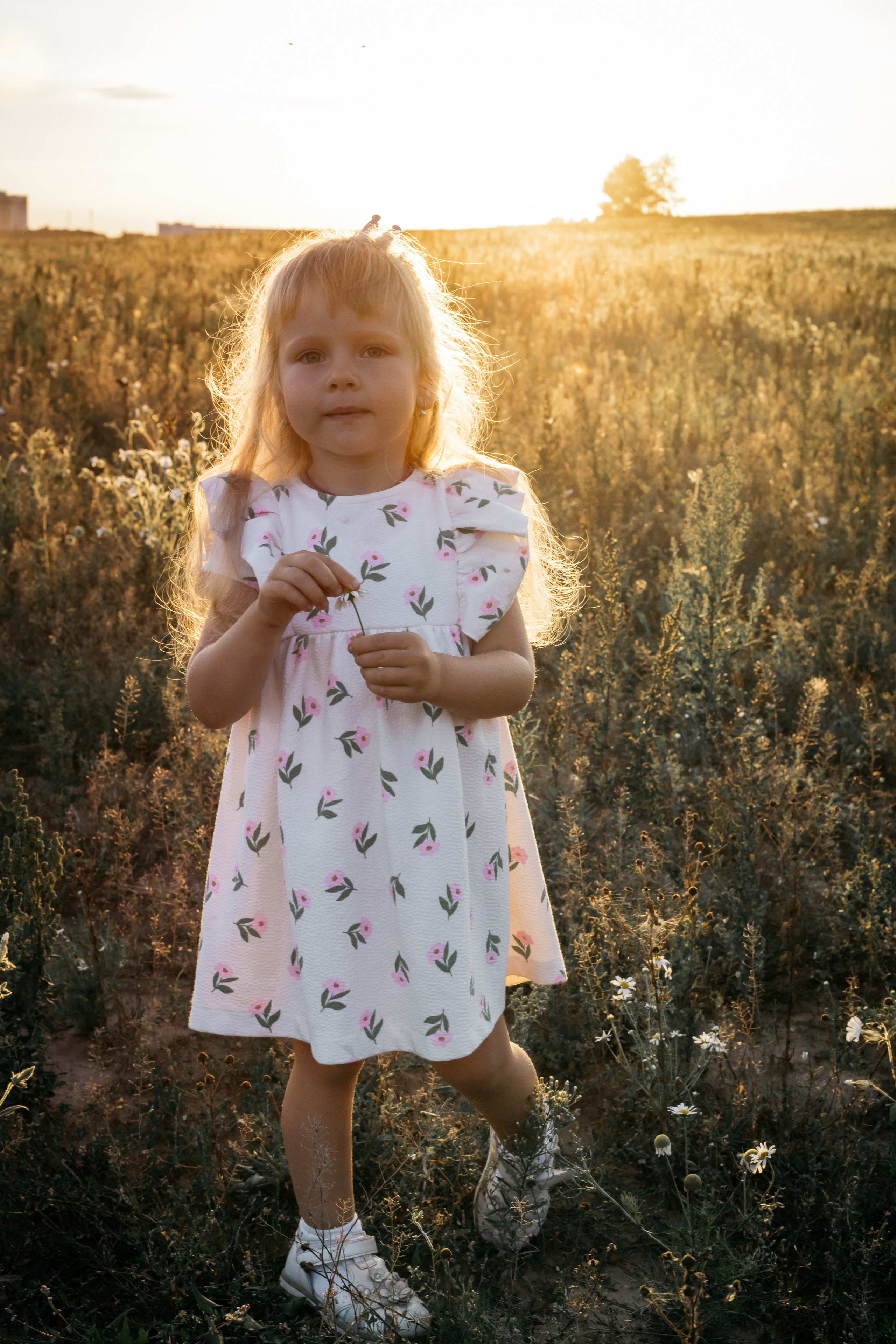Закат. Свадебный, семейный фотограф Беларусь