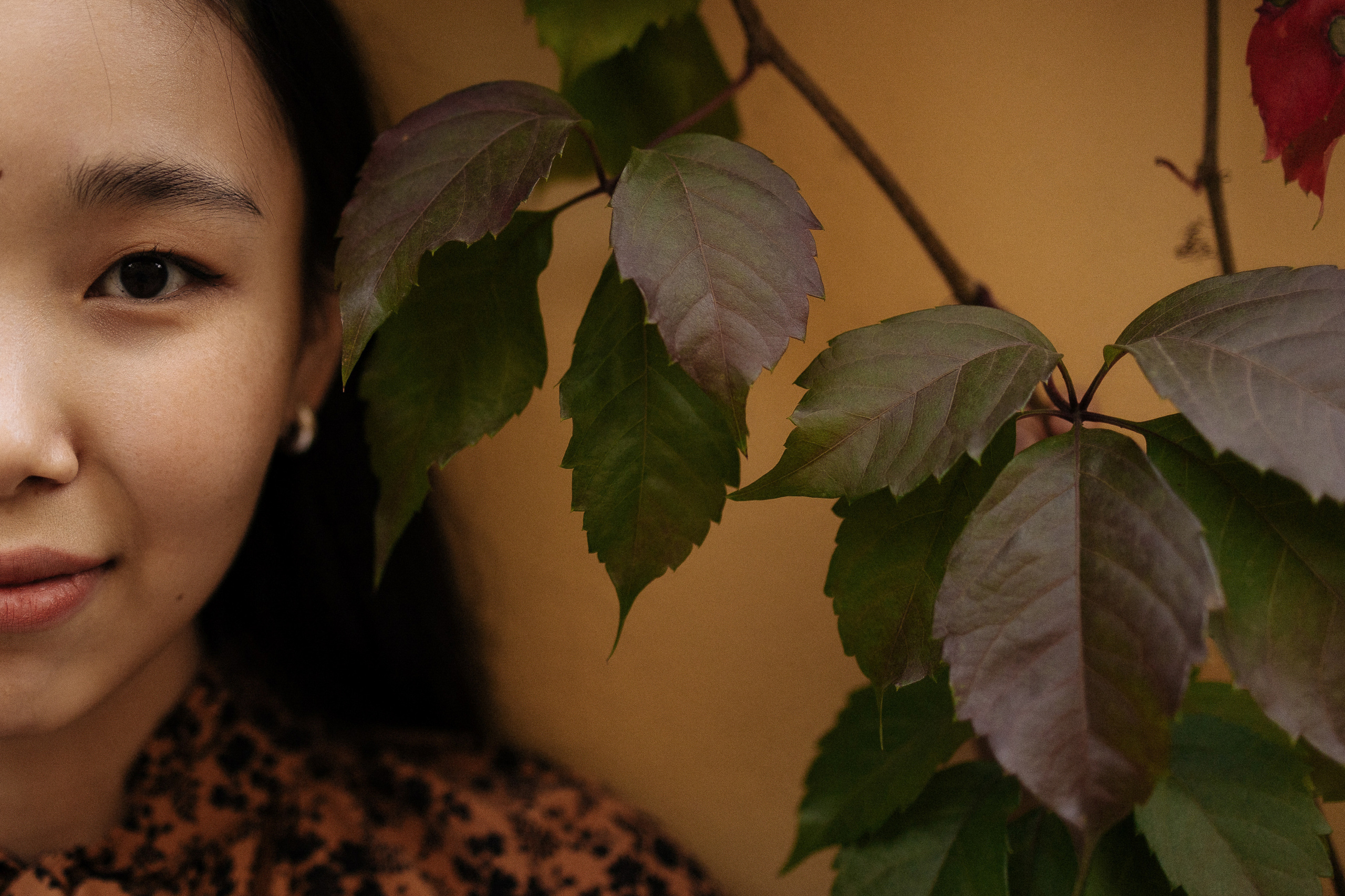 Московские дворики. Свадебный фотограф в Москве | Профессиональный фотограф | Выгодные цены на услуги